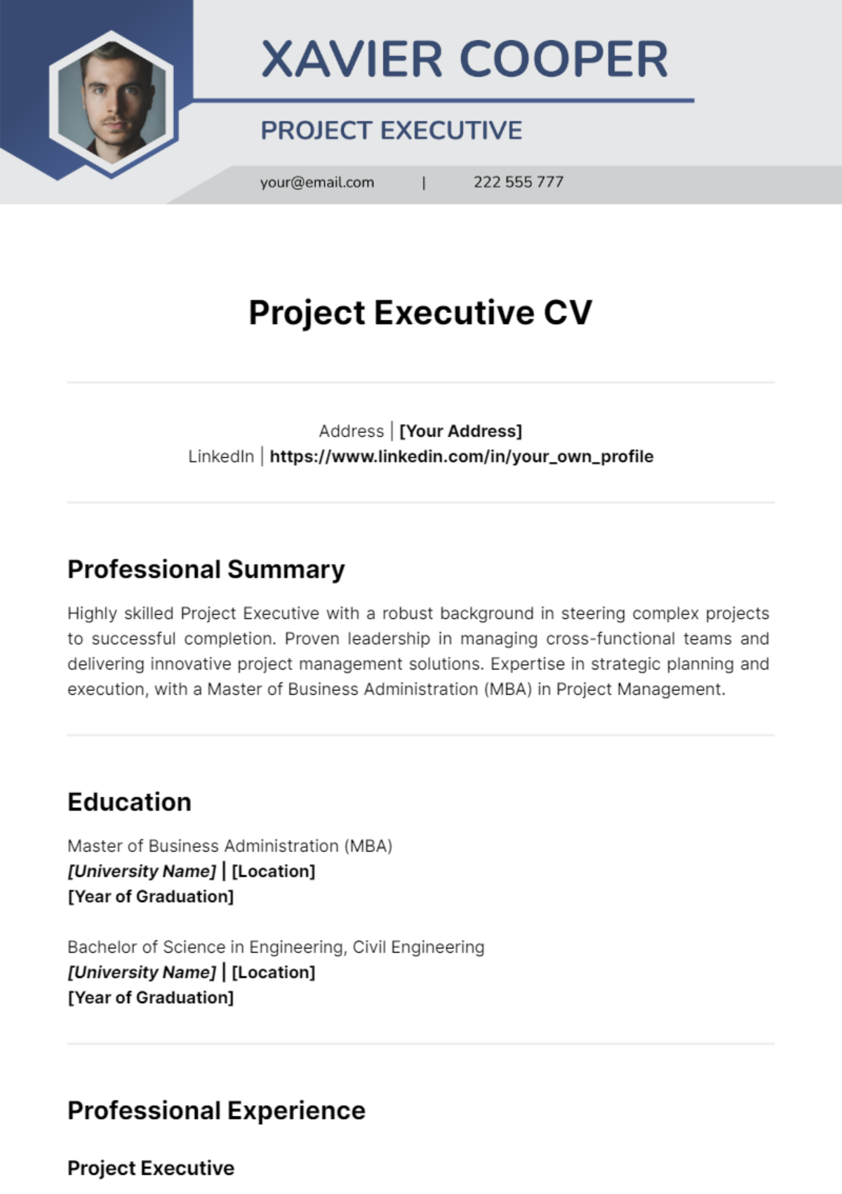 Project Executive CV Template - Edit Online & Download