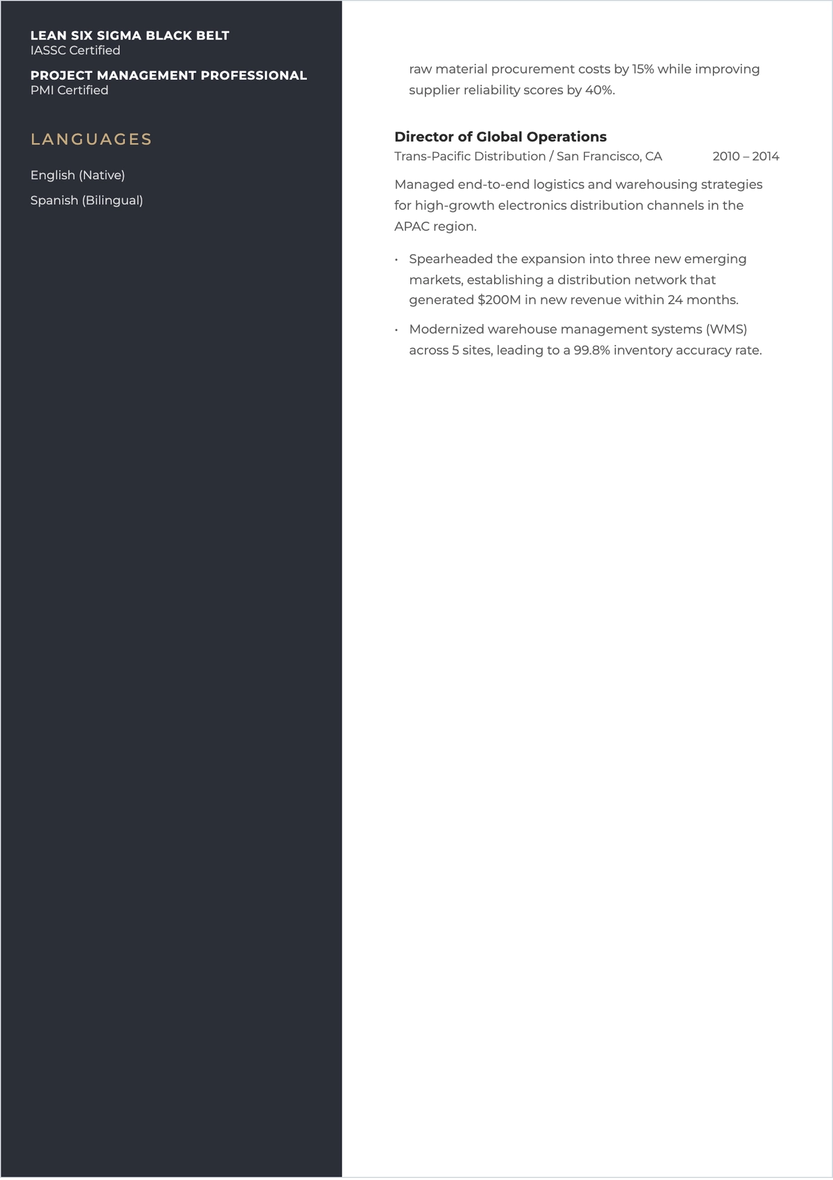 Free One Page Executive ATS CV Template, AI CV Builder