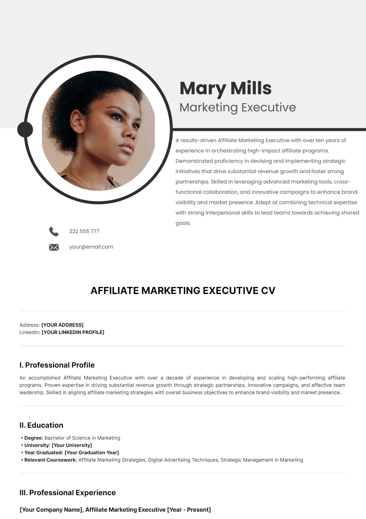 Affiliate Marketing Executive CV Template - Edit Online & Download