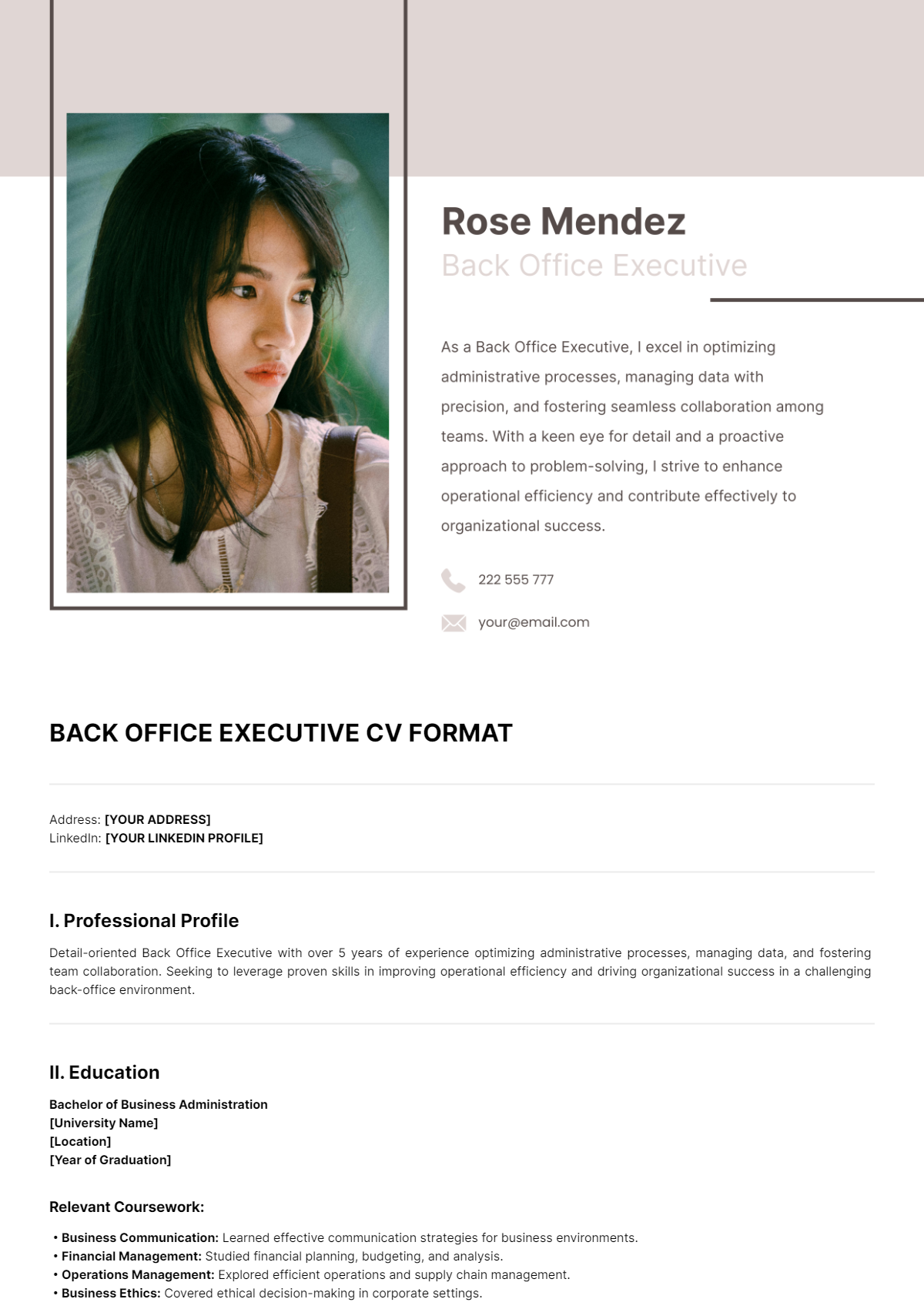 Back Office Executive CV Format Template