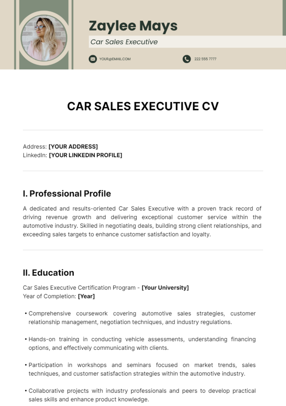 Car Sales Executive CV Template - Edit Online & Download