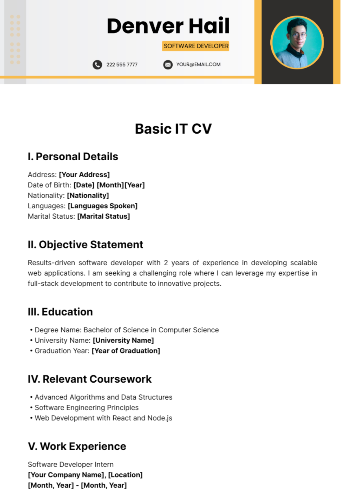 Basic IT CV Template - Edit Online & Download