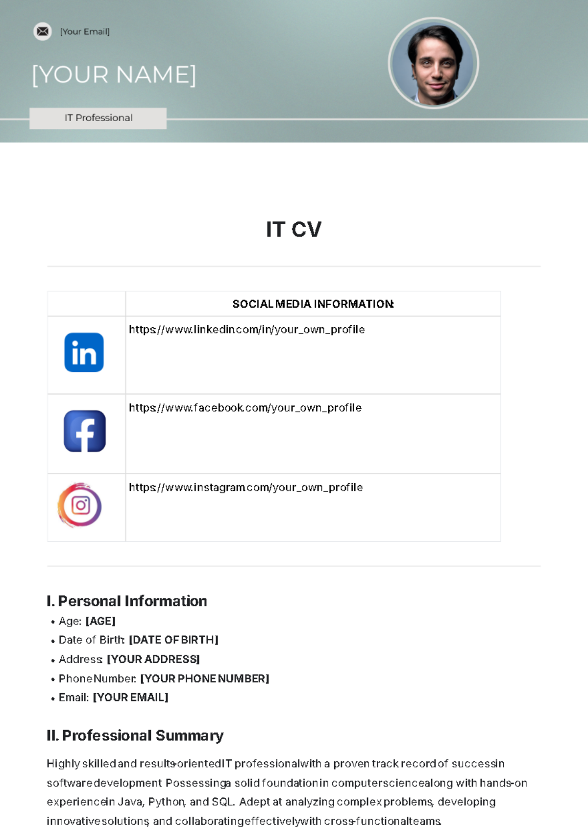 IT CV Template - Edit Online & Download