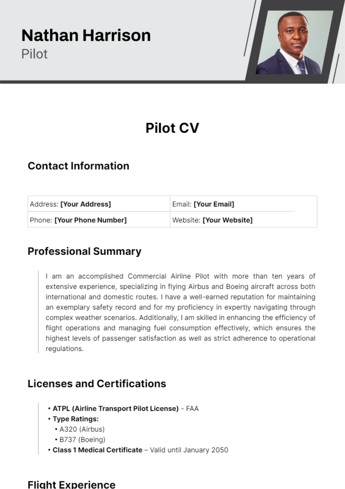 Pilot CV Template
