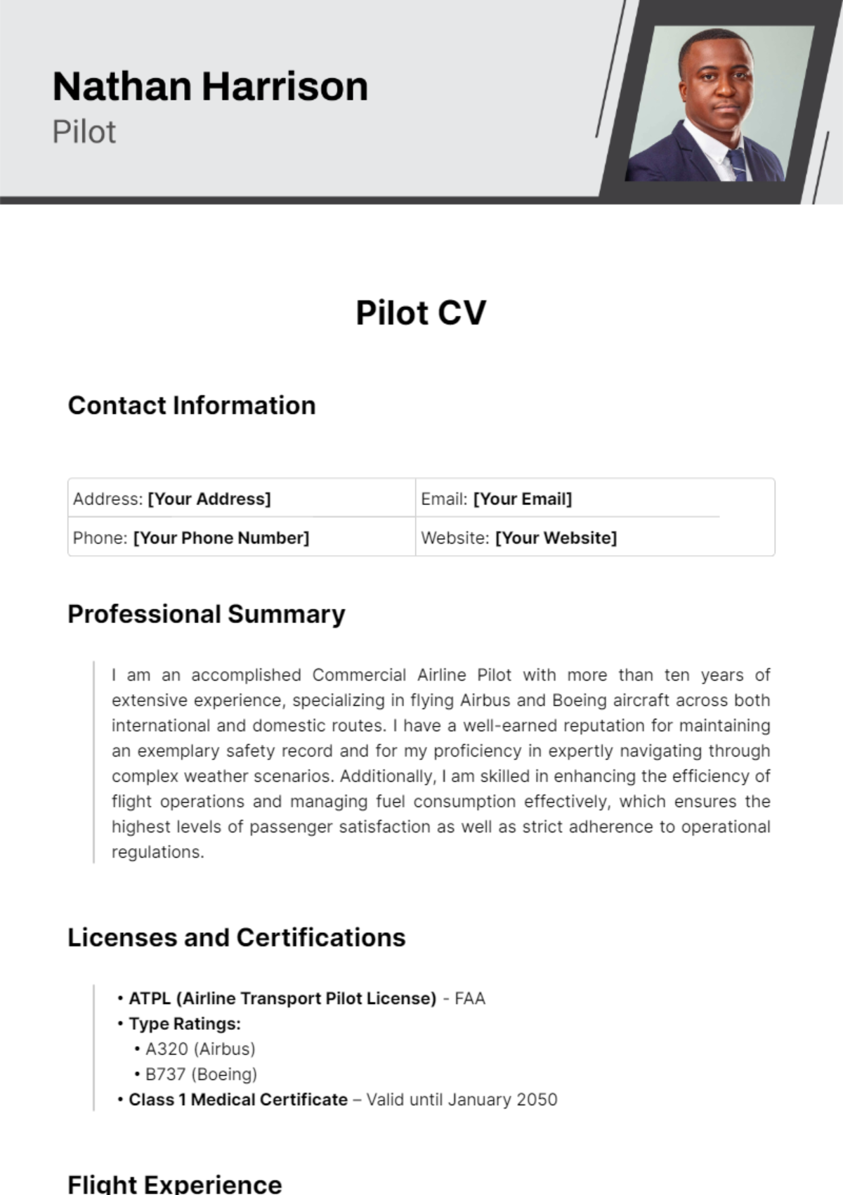 Pilot CV Template - Edit Online & Download