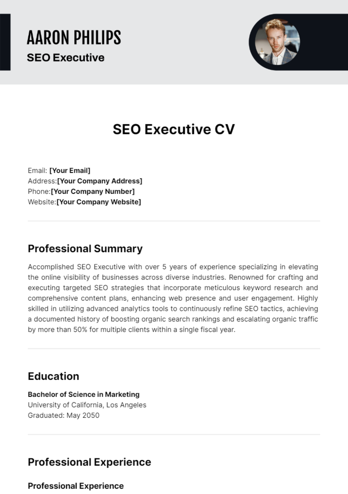 SEO Executive CV Template