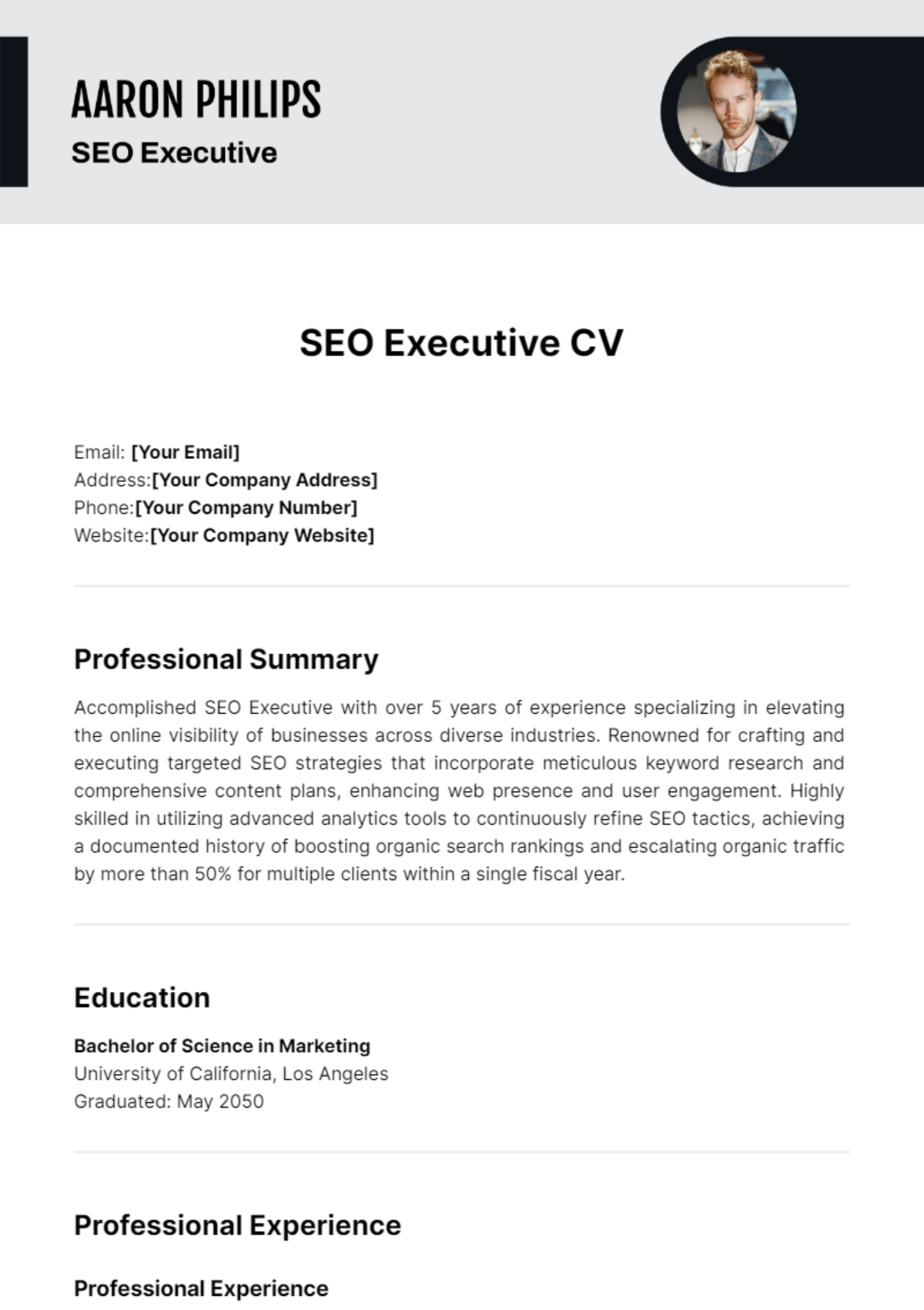 Free SEO Executive CV Template to Edit Online