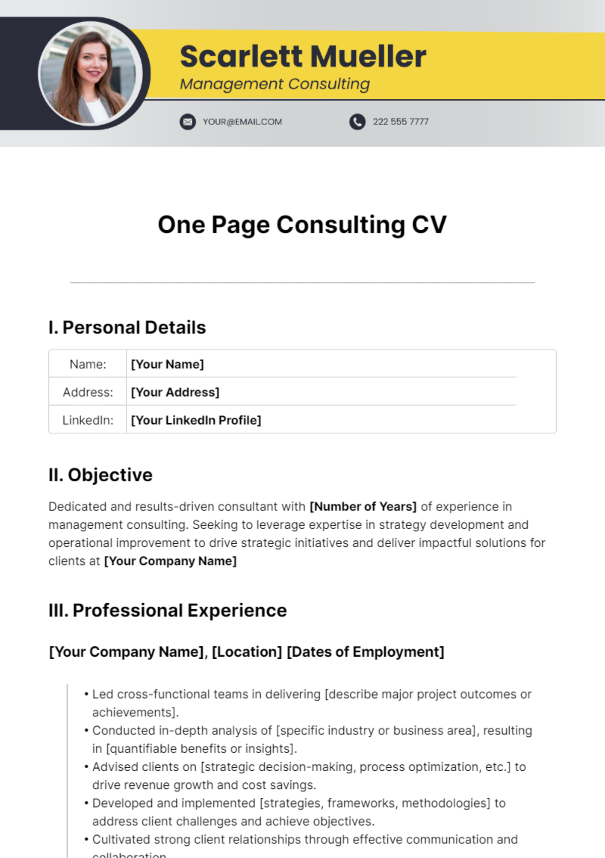 One Page Consulting CV Template