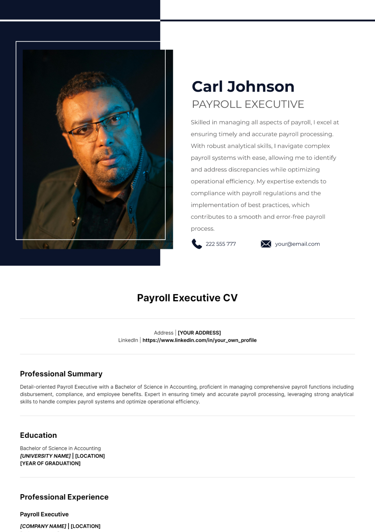 Payroll Executive CV Template - Edit Online & Download