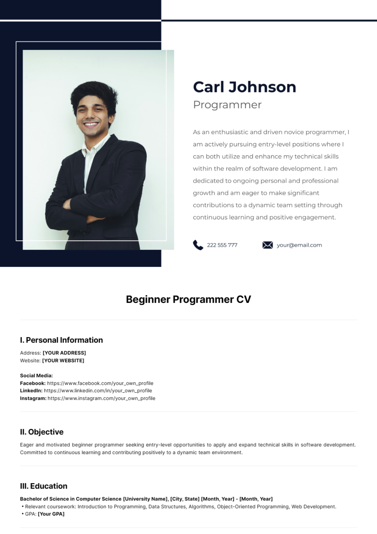 Beginner Programmer CV Template - Edit Online & Download