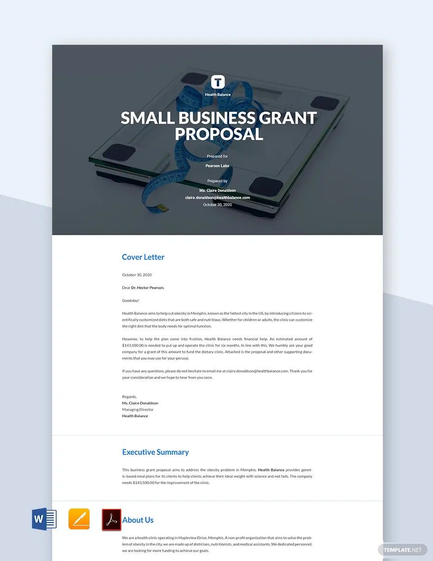 Sample Small Business Grant Proposal Template Google Docs Word 