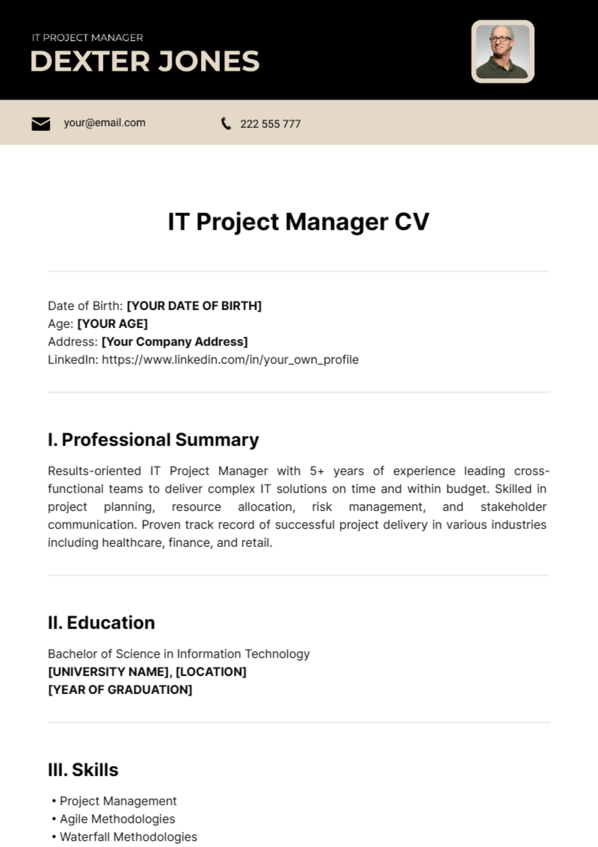 IT Project Manager CV Template - Edit Online & Download