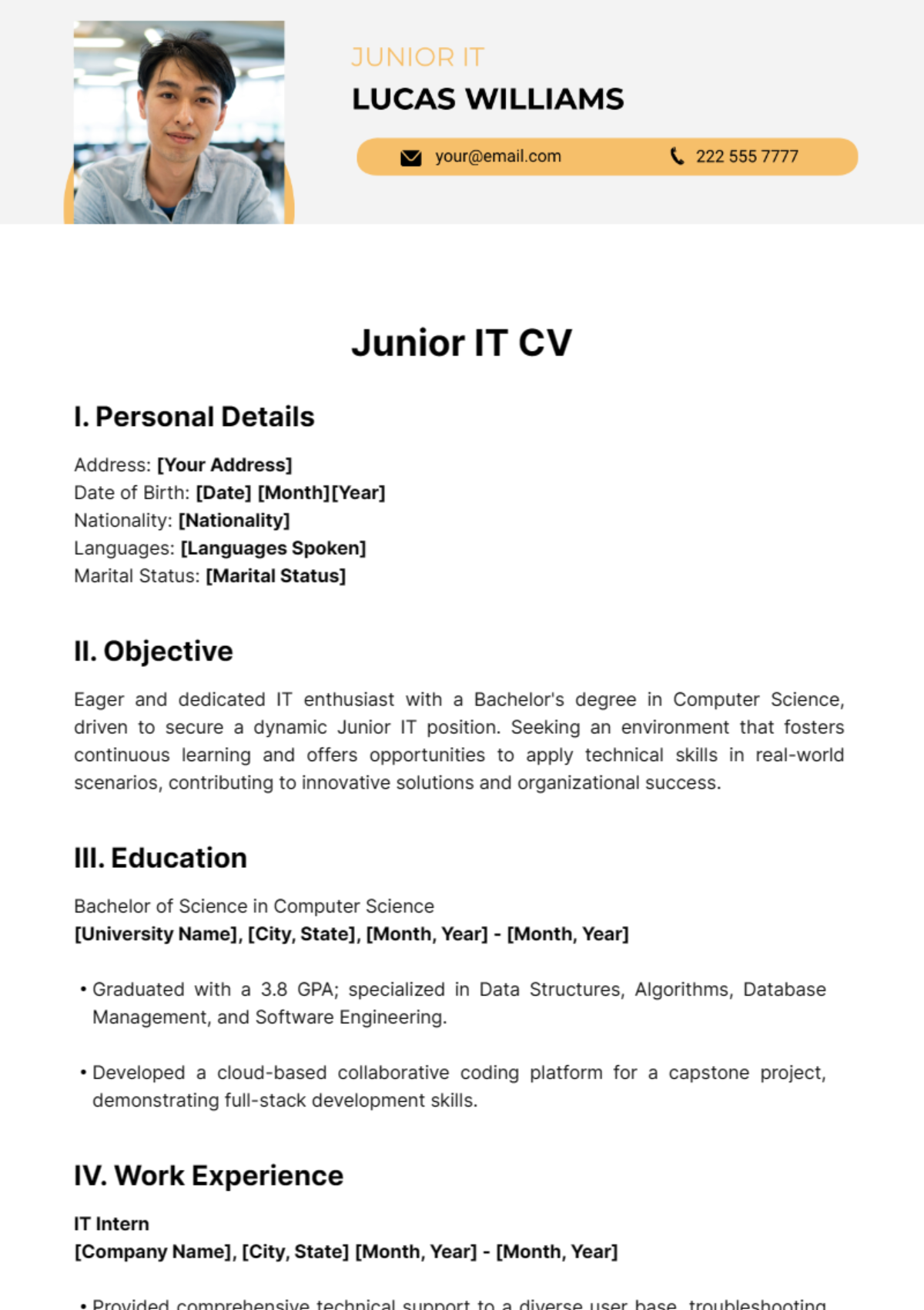 Junior IT CV Template - Edit Online & Download