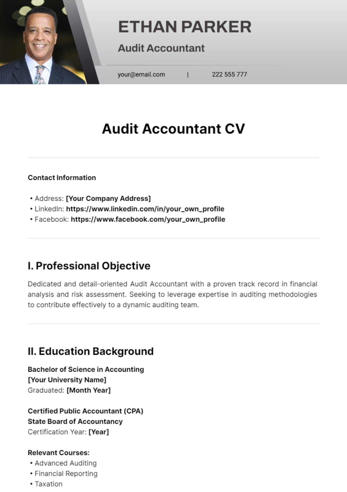 Audit Accountant CV Template - Edit Online & Download