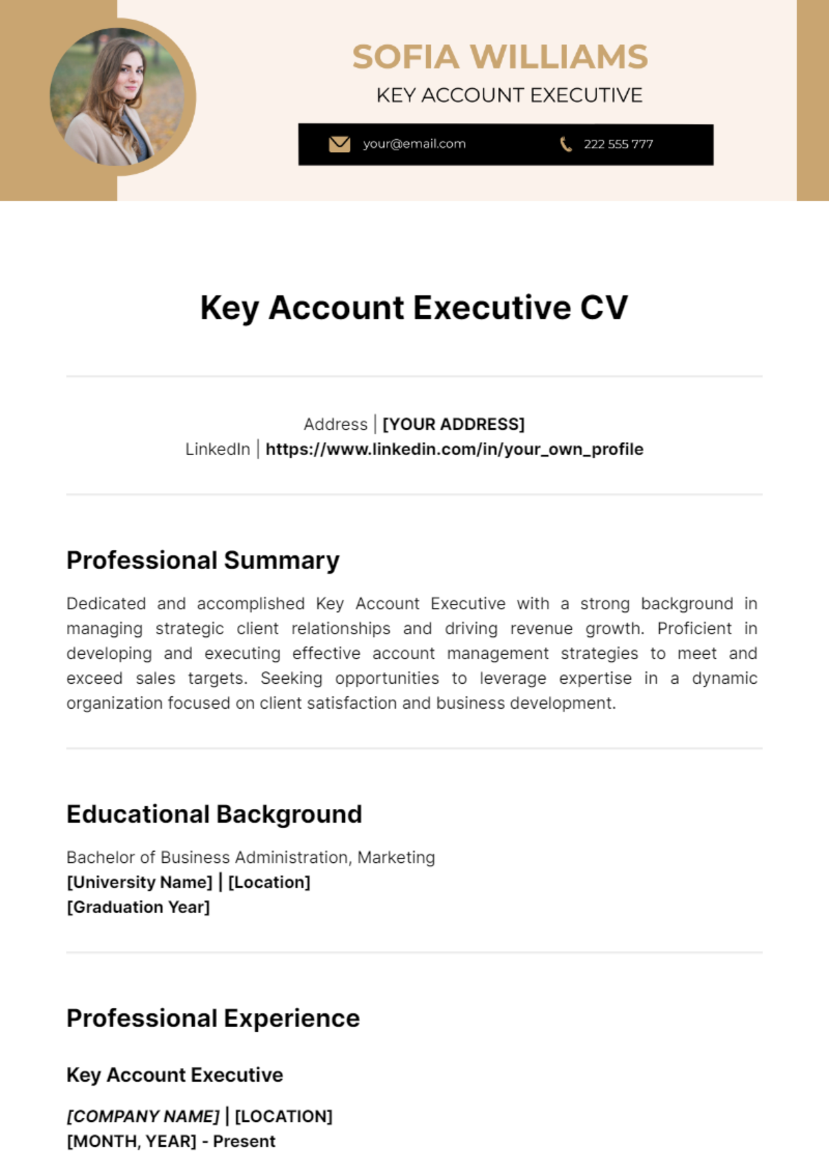 Key Account Executive CV Template - Edit Online & Download