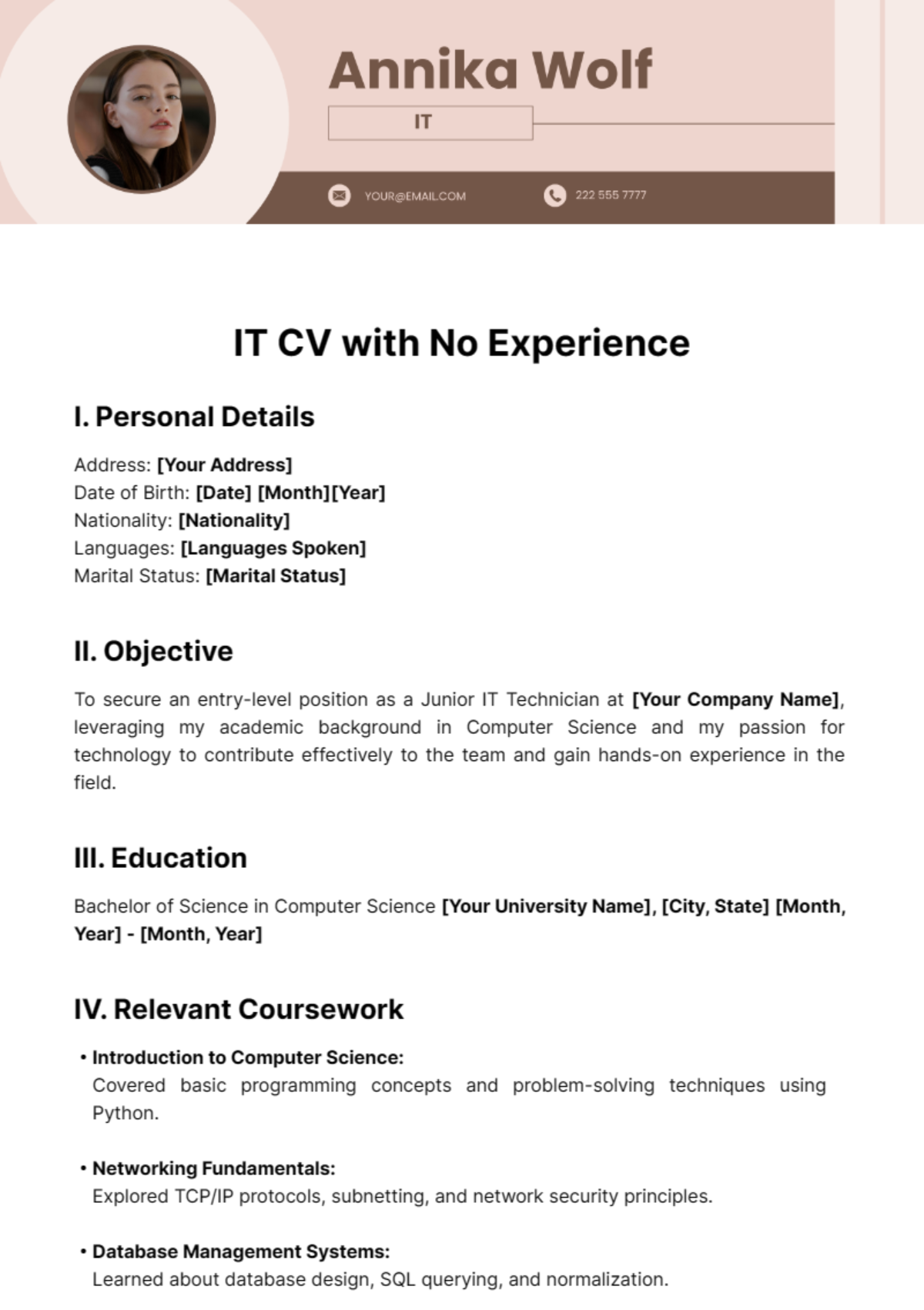 IT CV with No Experience Template - Edit Online & Download