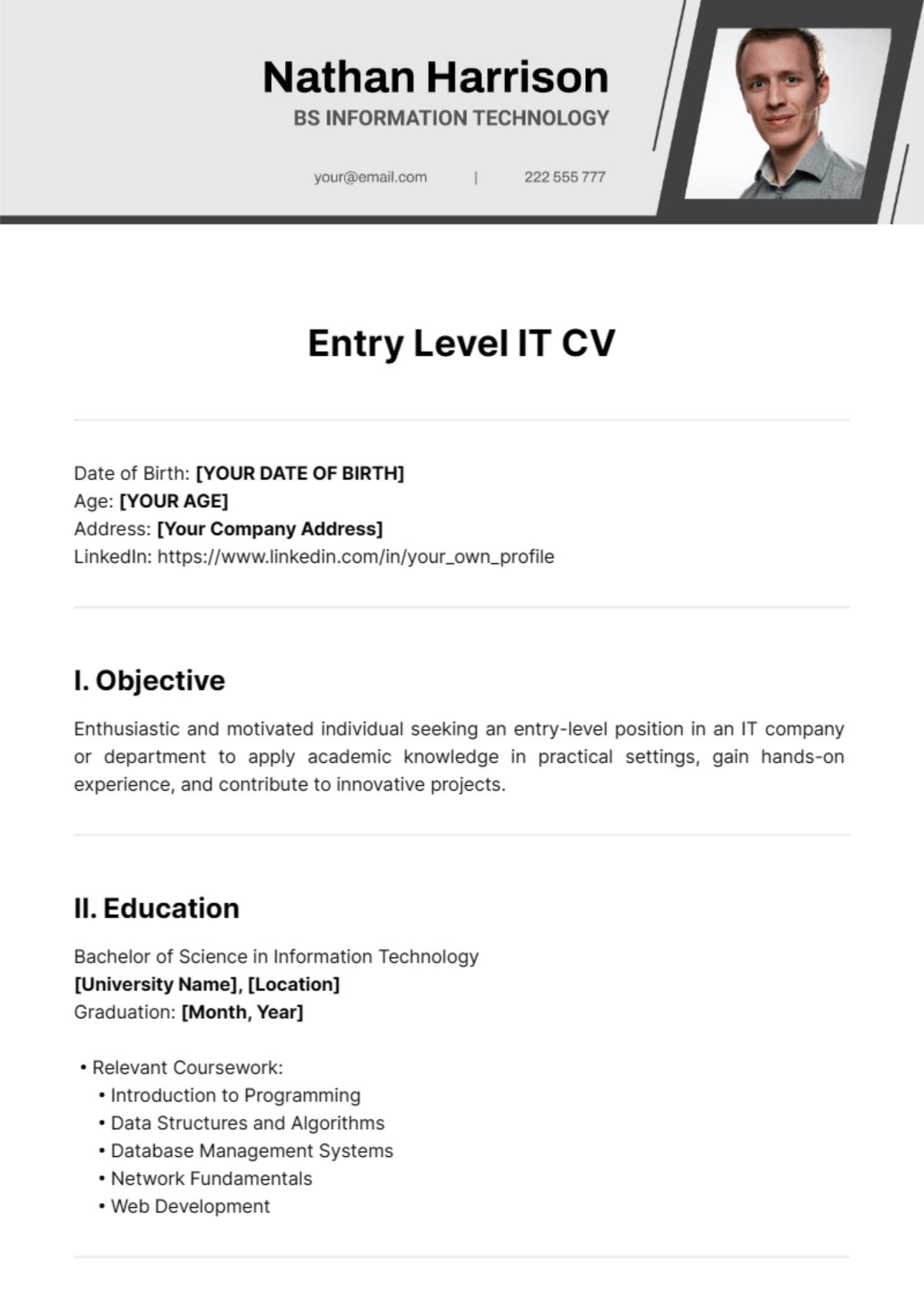 Entry Level IT CV Template - Edit Online & Download