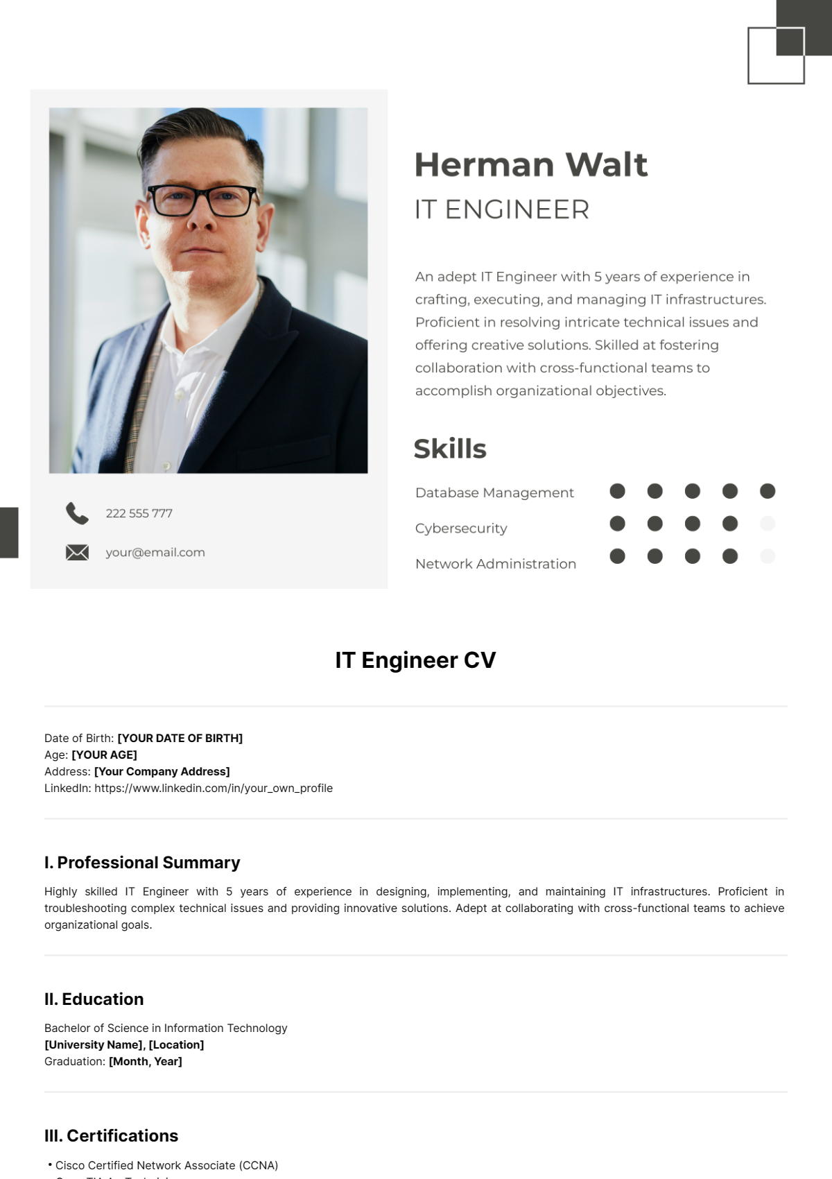 IT Engineer CV Template - Edit Online & Download