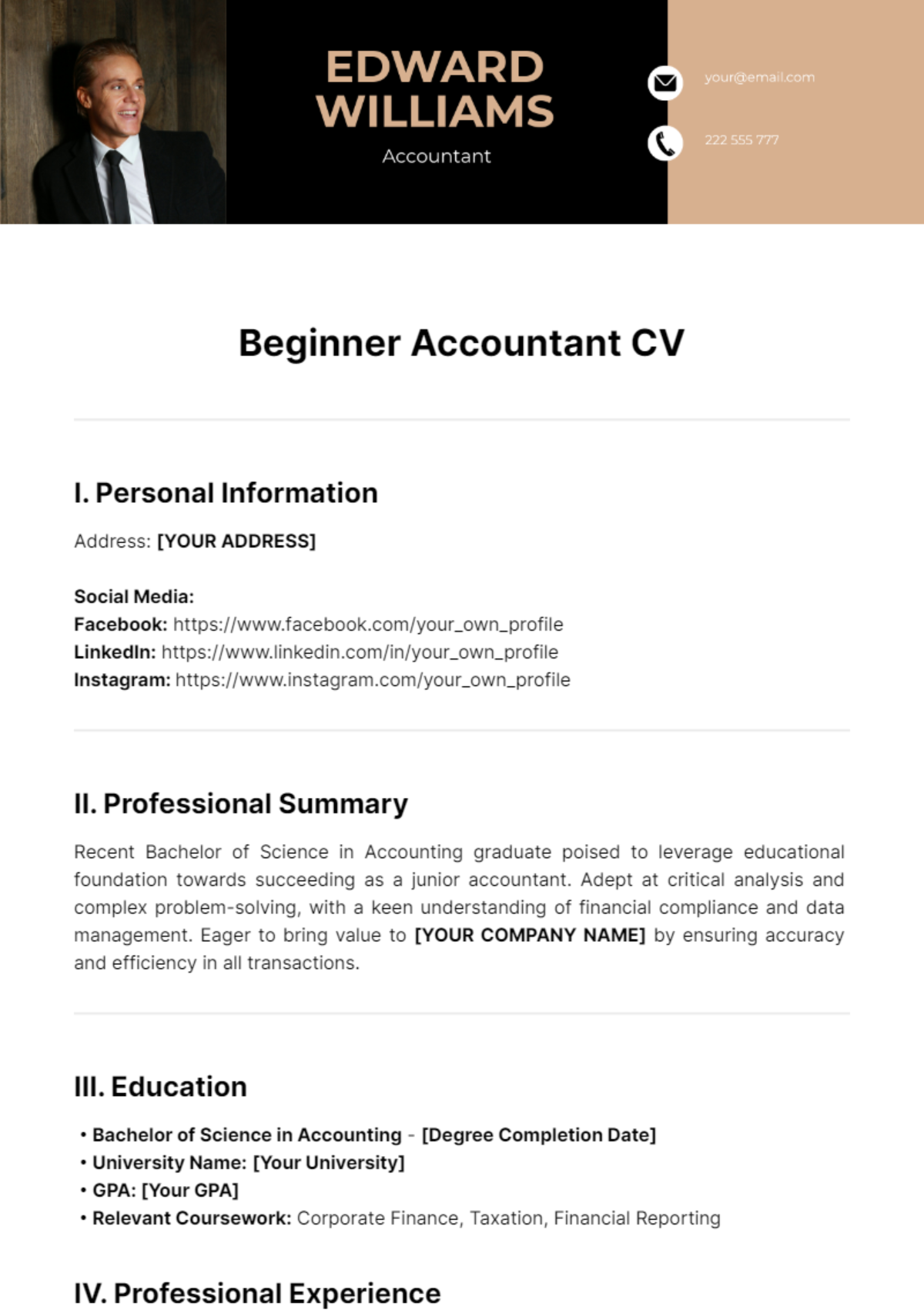 Beginner Accountant CV Template - Edit Online & Download