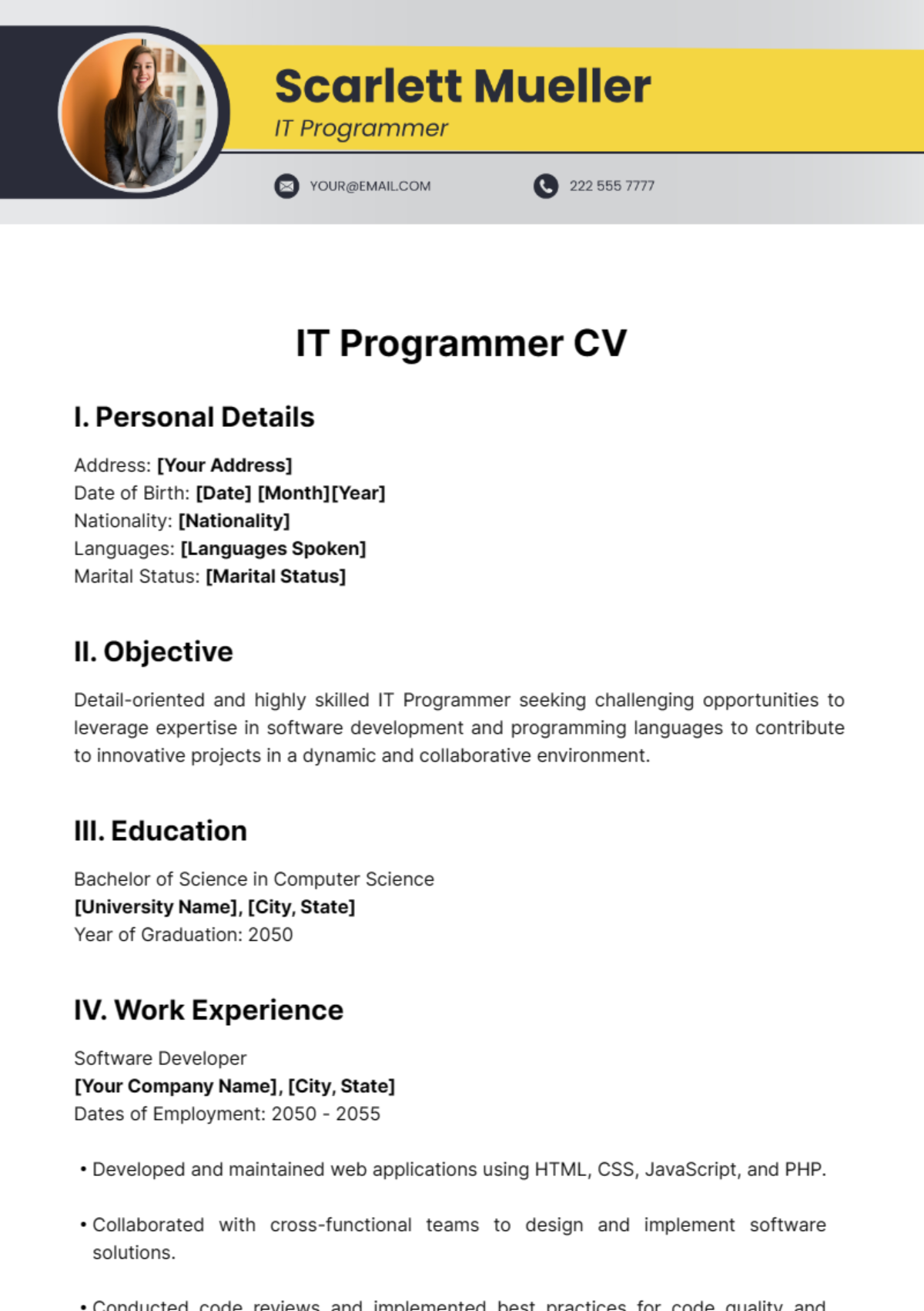 IT Programmer CV Template - Edit Online & Download