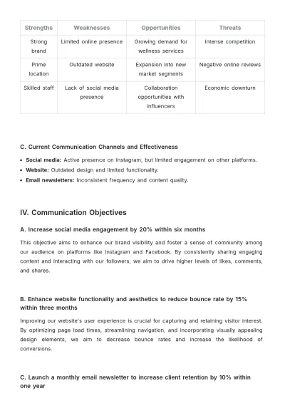 Free Salon Communication Plan Template to Edit Online