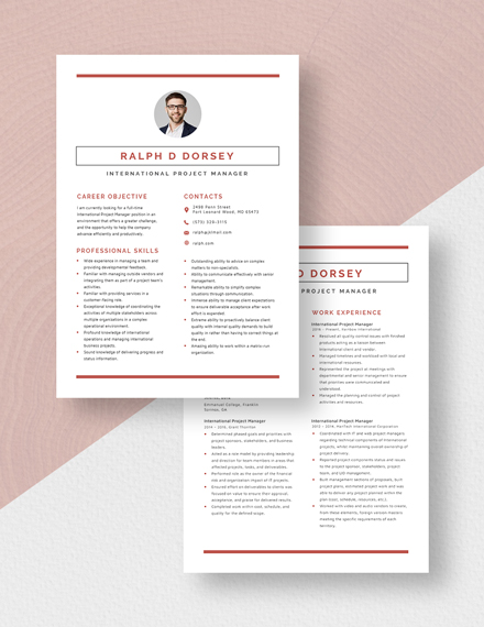 International Project Manager Resume Download