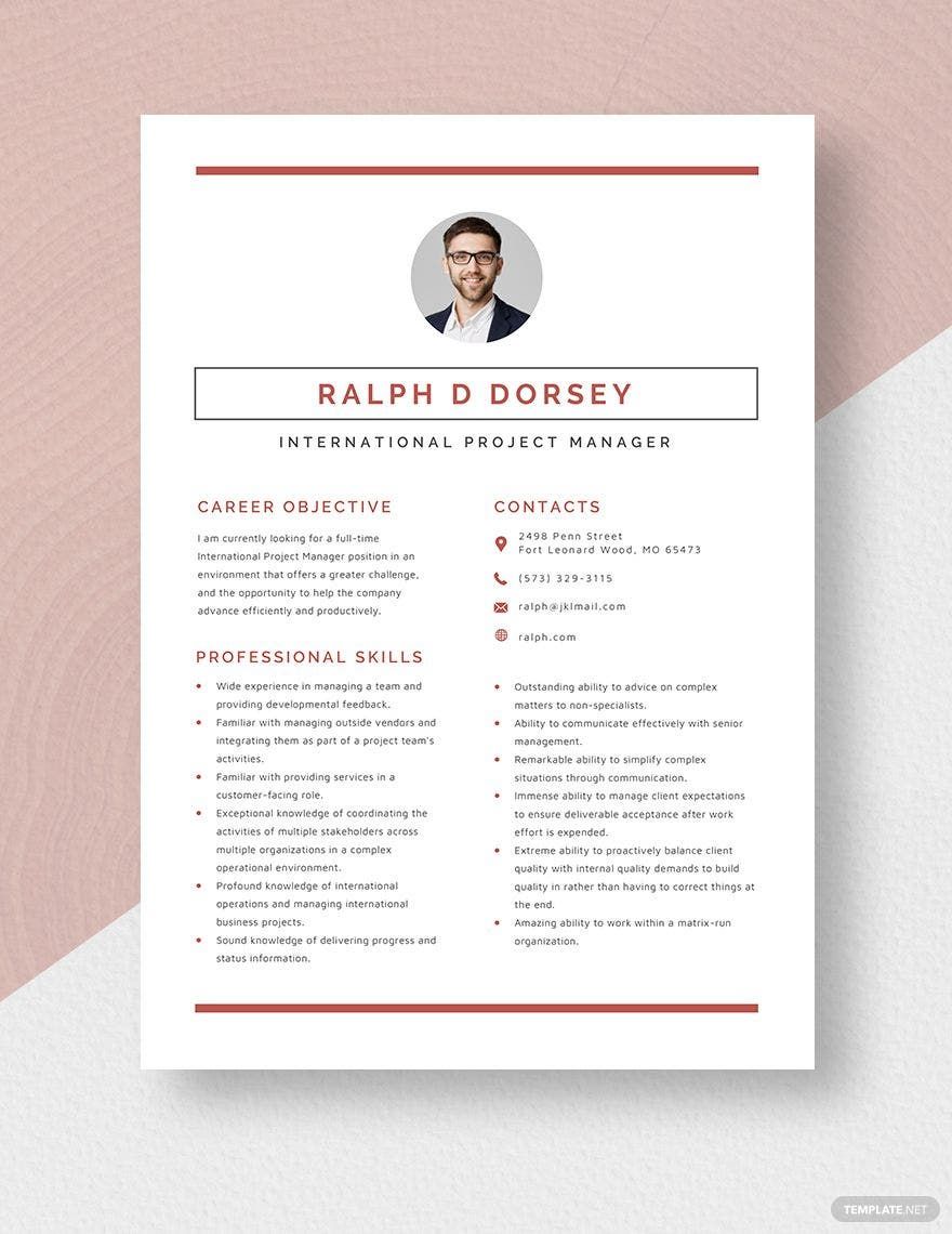 International Project Manager Resume