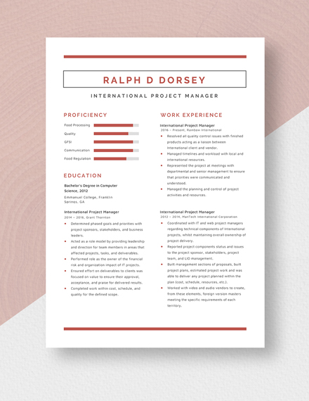 International Project Manager Resume Template