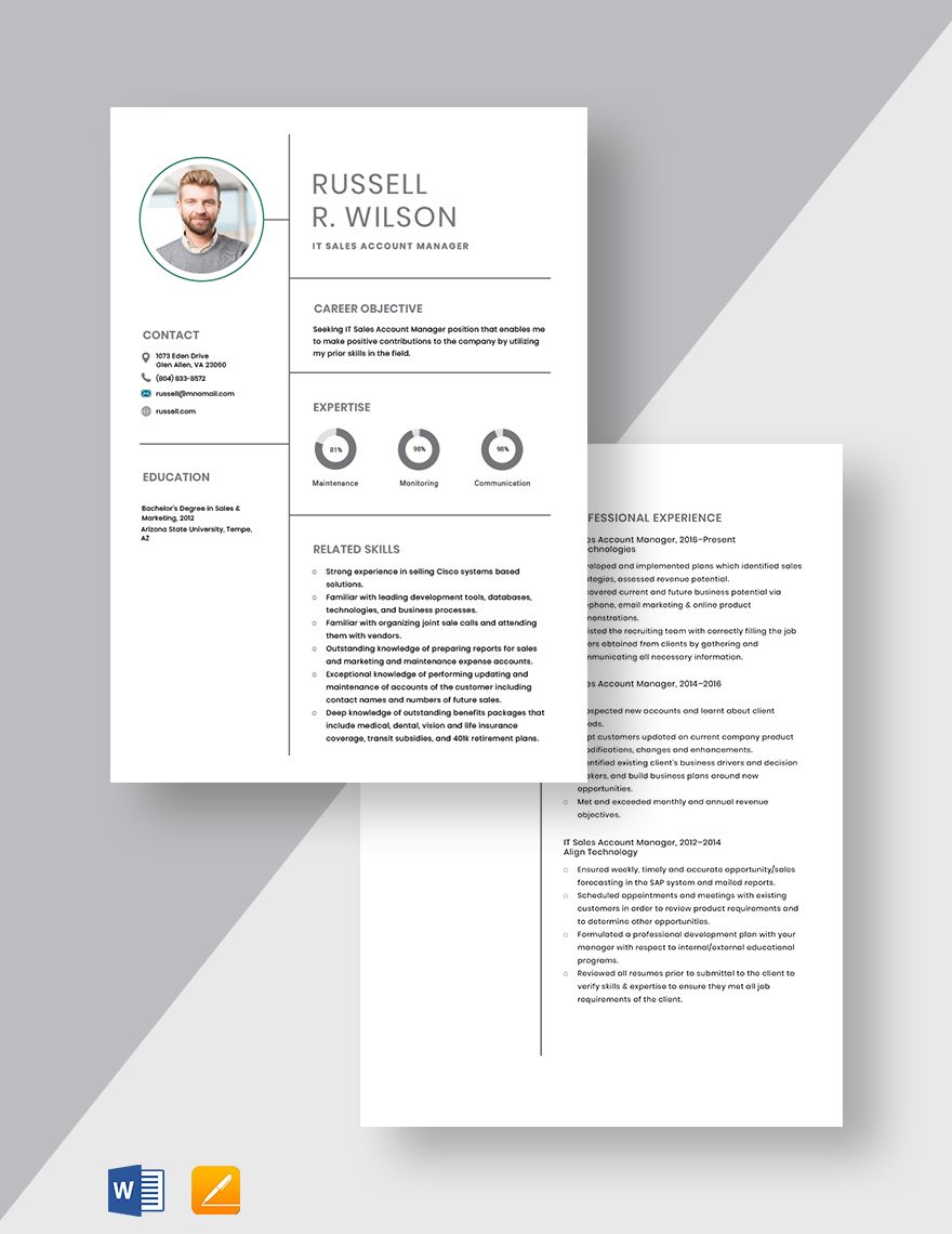 IT Sales Account Manager Resume