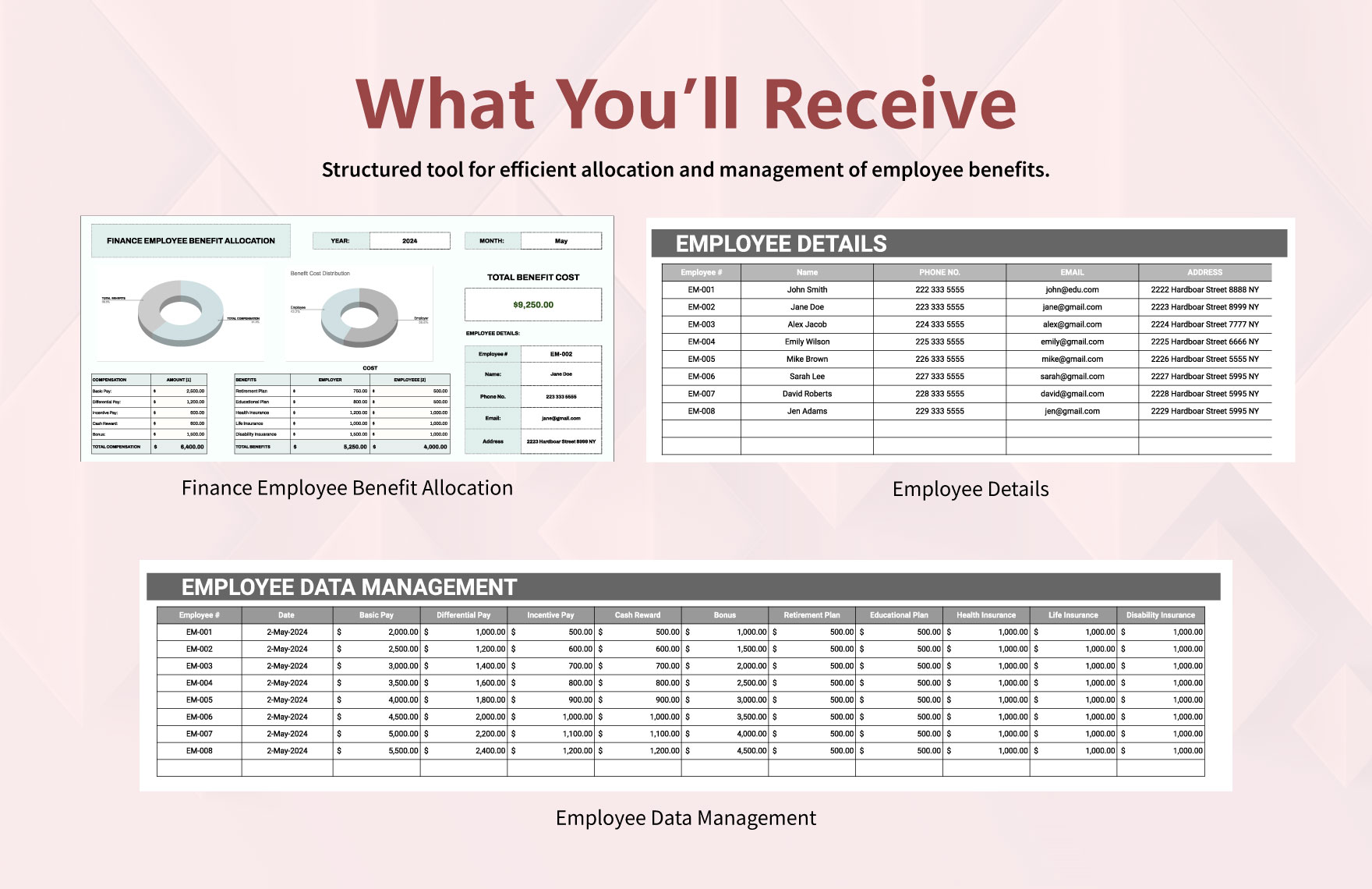 Finance Employee Benefit Allocation Template