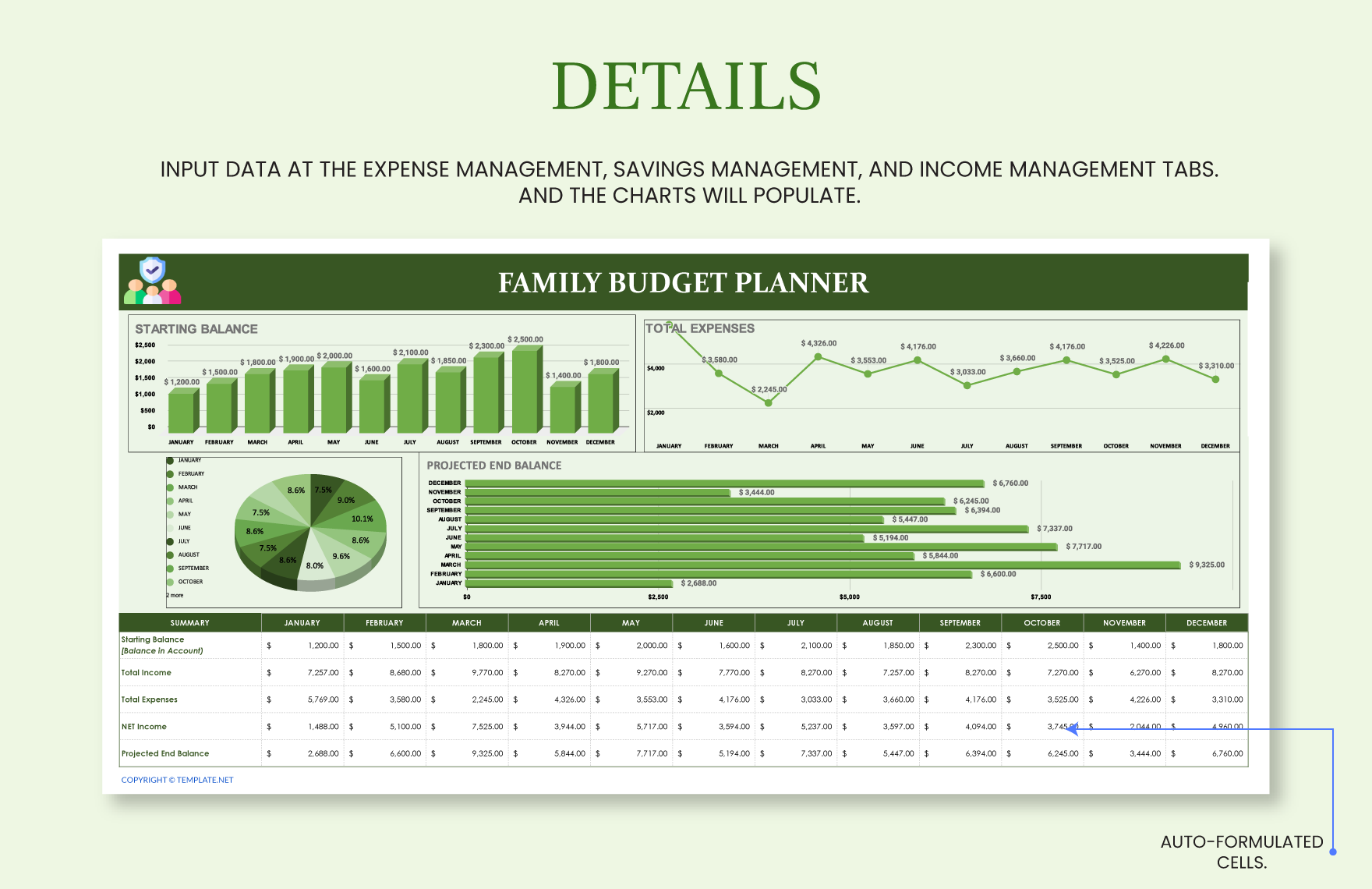 Family Budget Planner Template