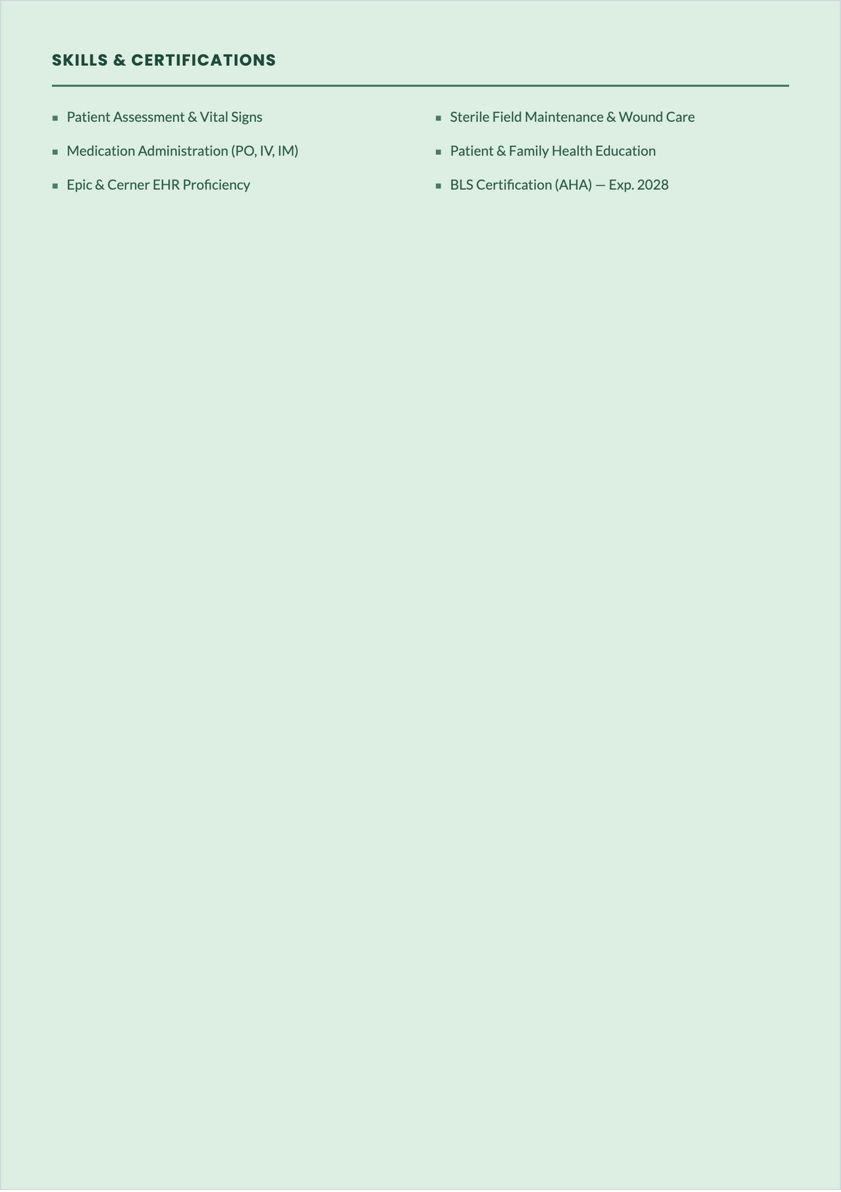 Free Student Nurse ATS CV Template, AI CV Builder