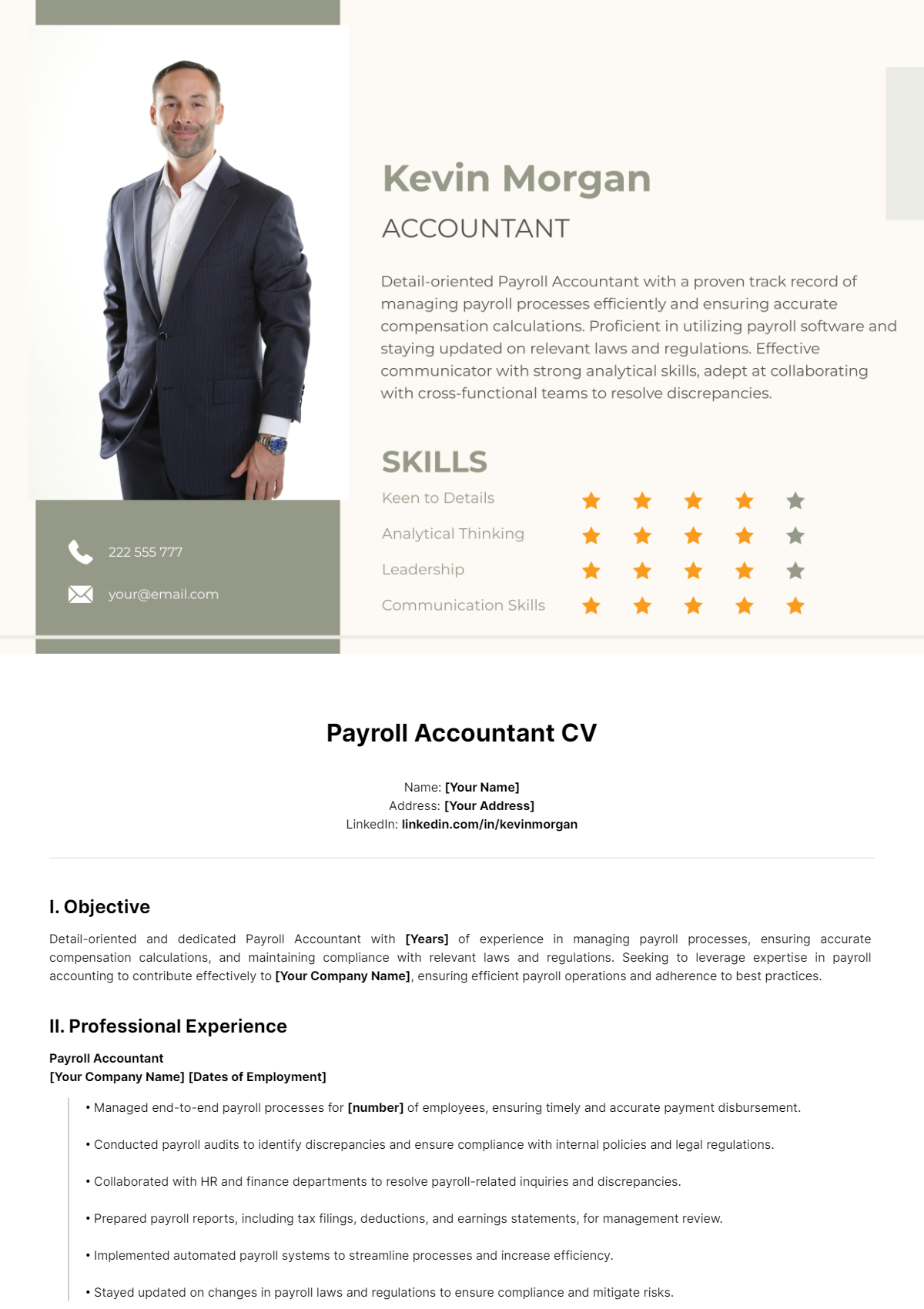 Payroll Accountant CV Template - Edit Online & Download