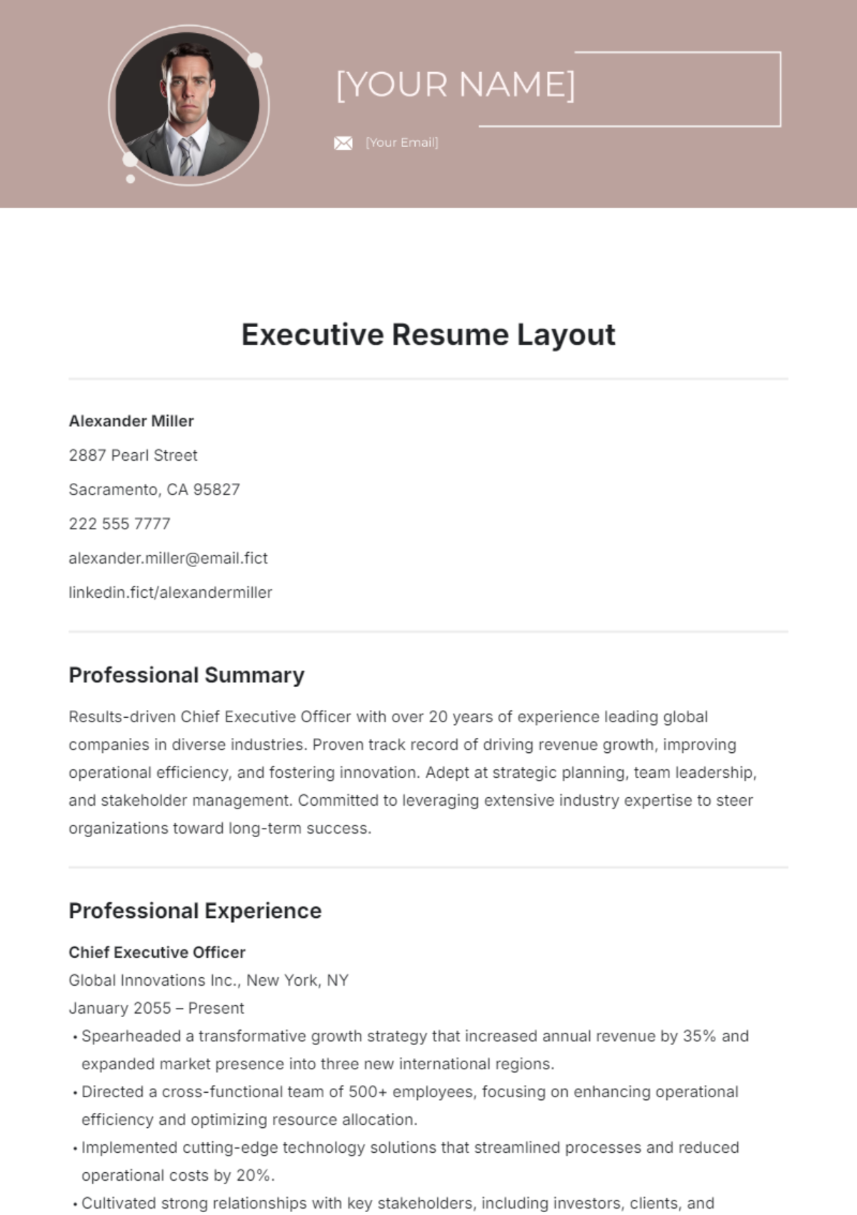 Executive Resume Layout Template