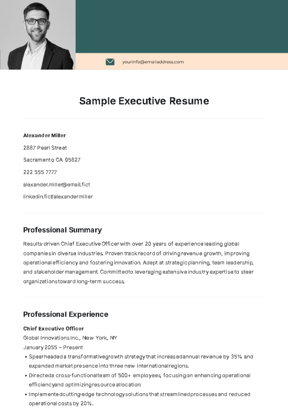 Sample Executive Resume Template