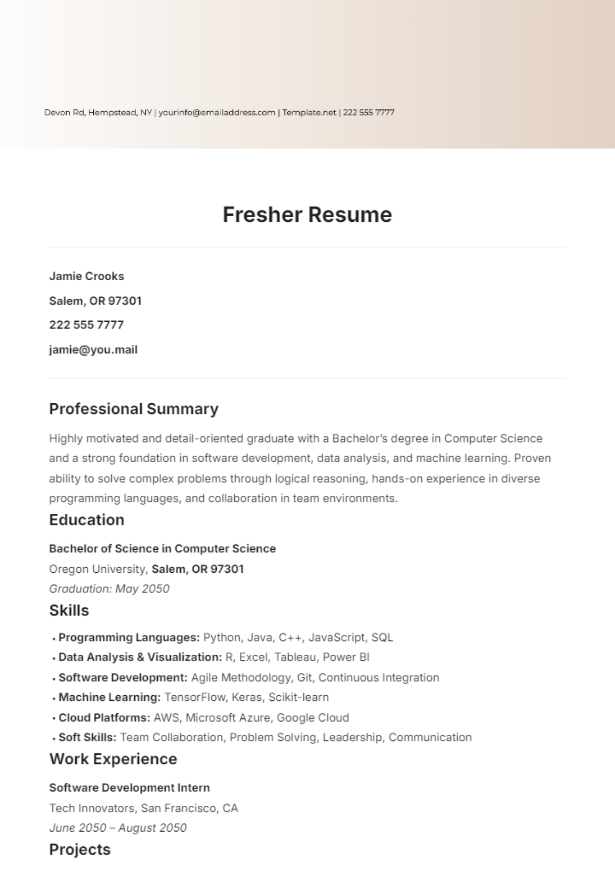 Fresher Resume Template - Edit Online & Download