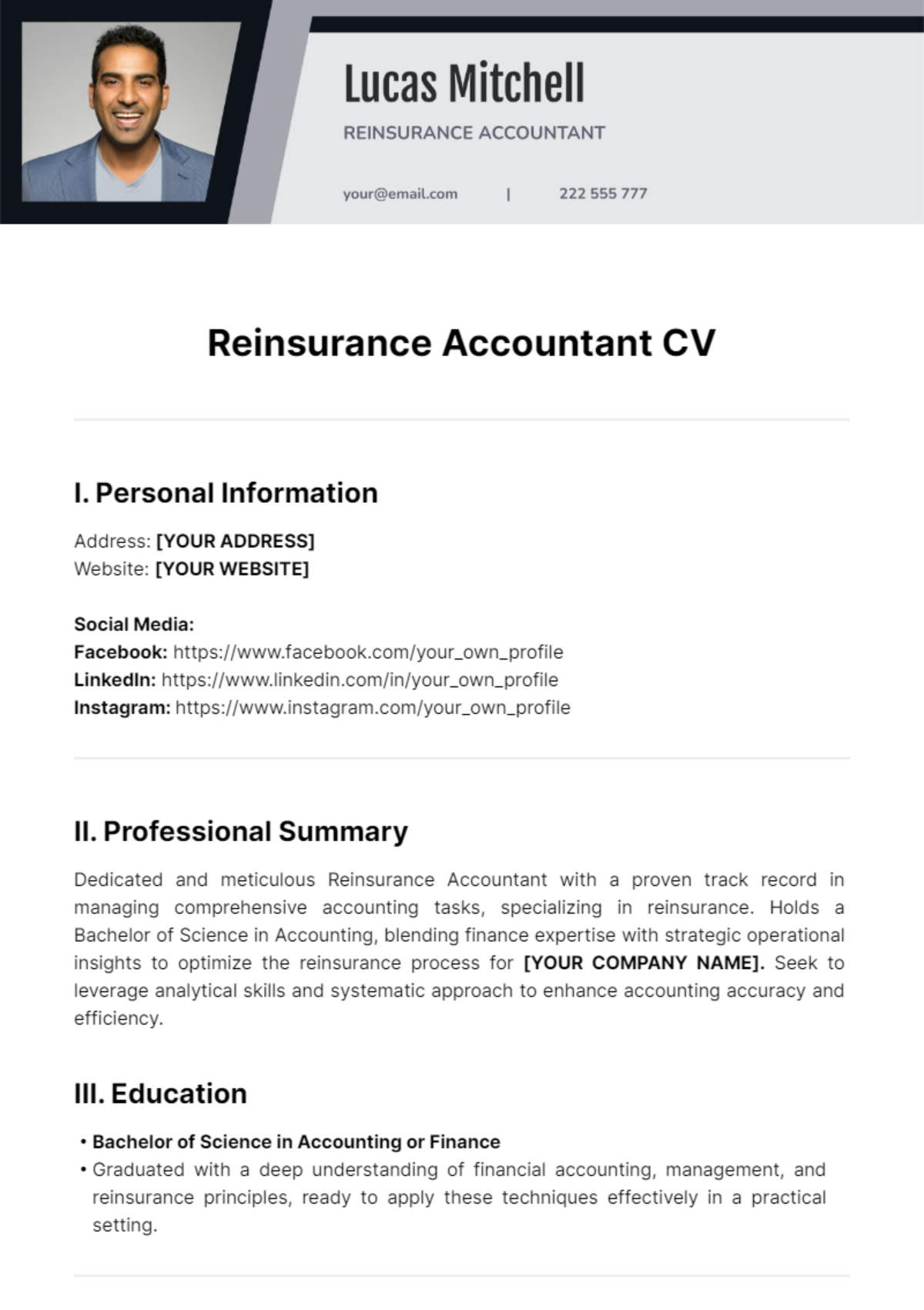 Reinsurance Accountant CV Template - Edit Online & Download