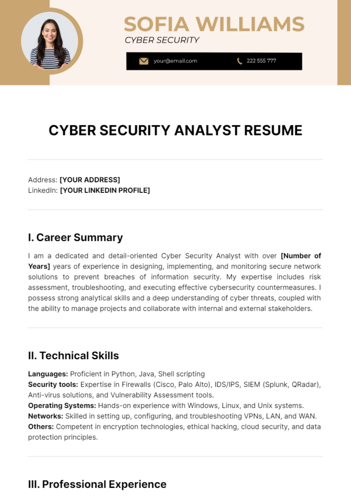 Cyber Security Analyst Resume Template