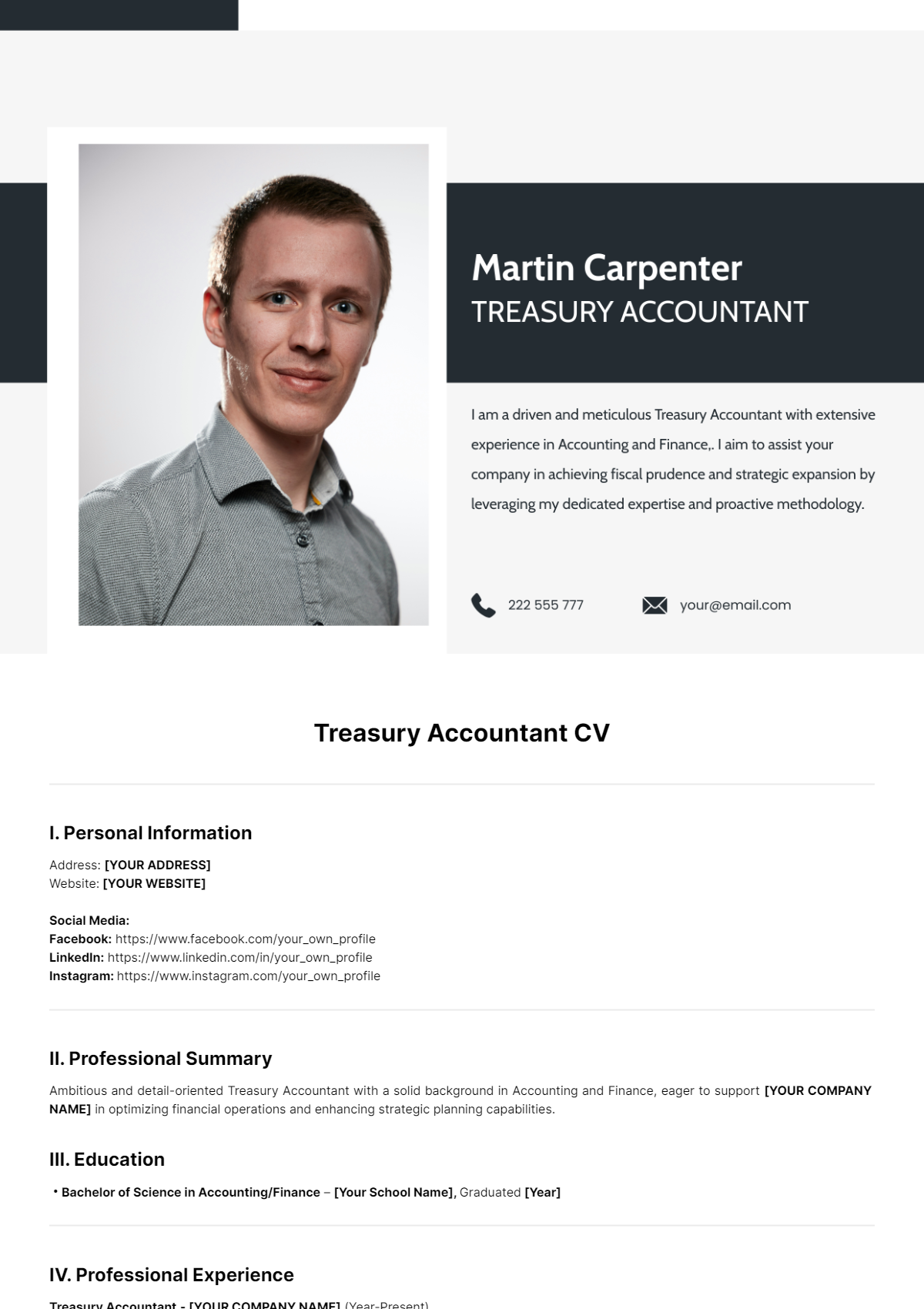 Treasury Accountant CV Template - Edit Online & Download