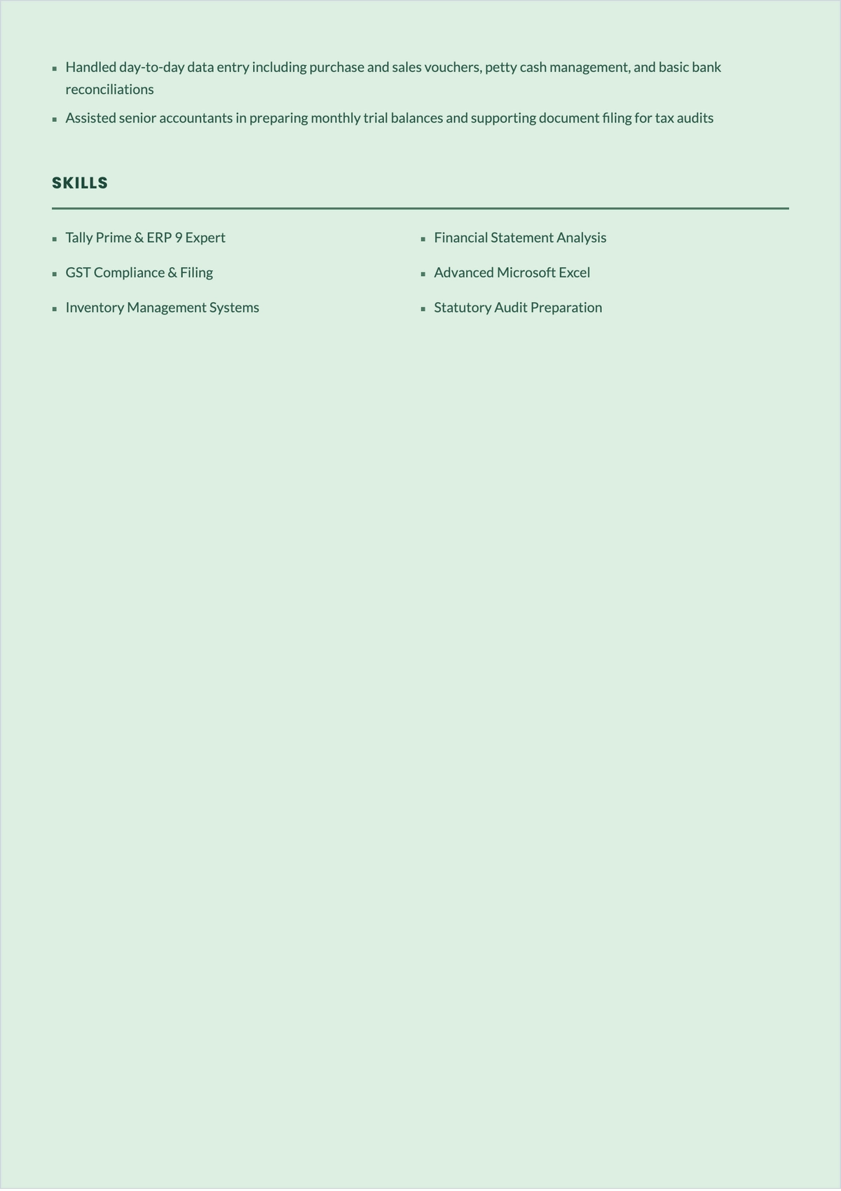 Free Tally Accountant ATS CV Template, AI CV Builder