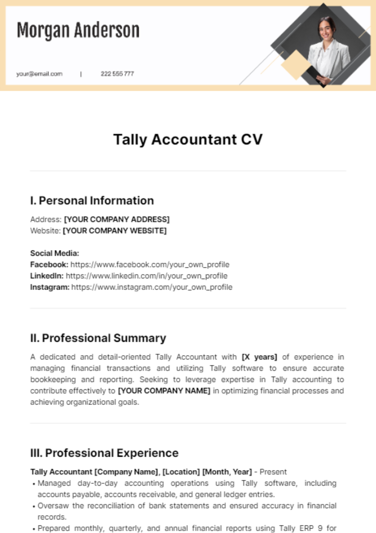 tally-accountant-cv-template-edit-online-download-example