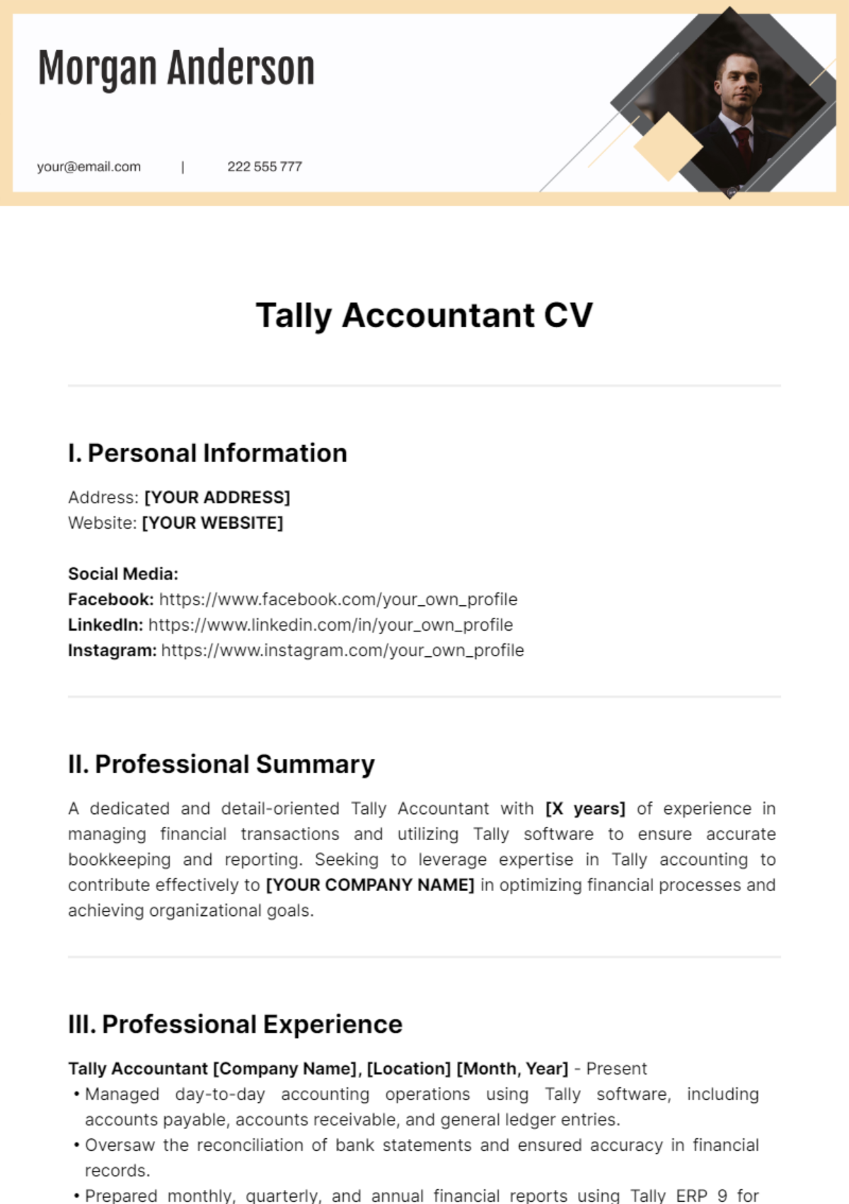 Tally Accountant CV Template - Edit Online & Download