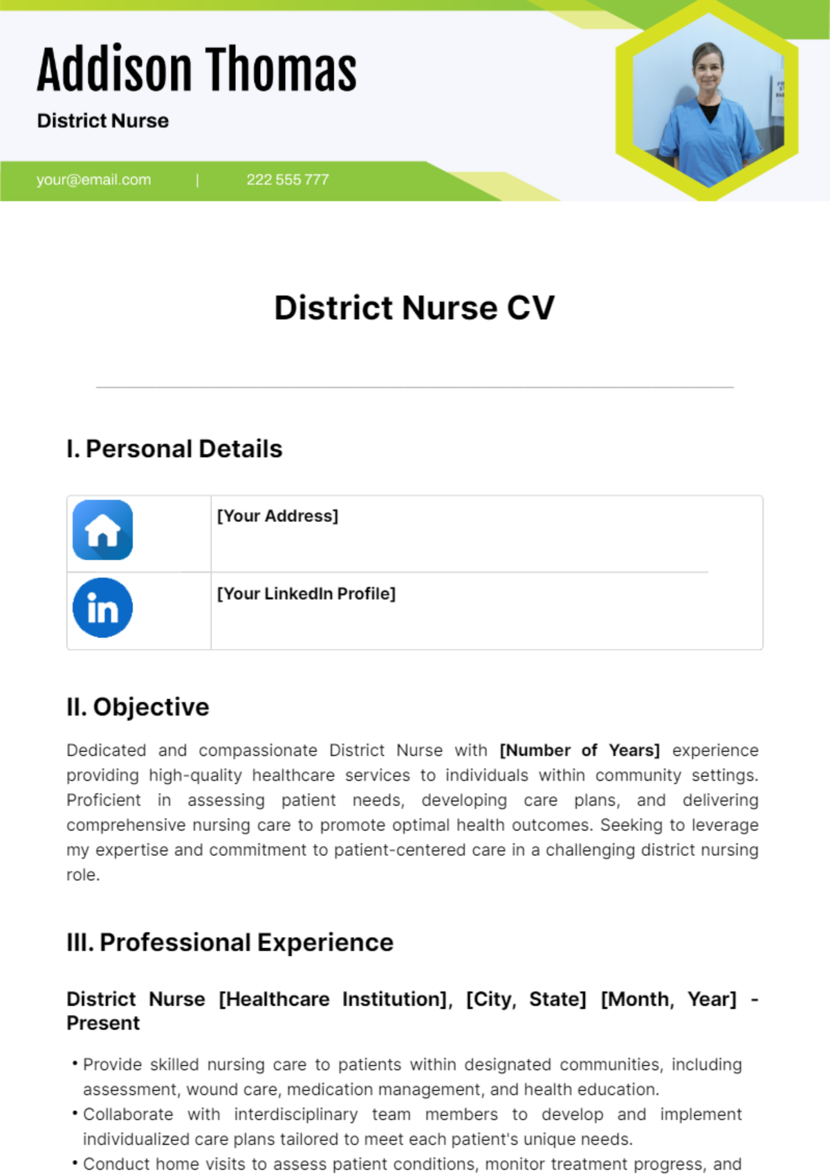 District Nurse CV Template - Edit Online & Download