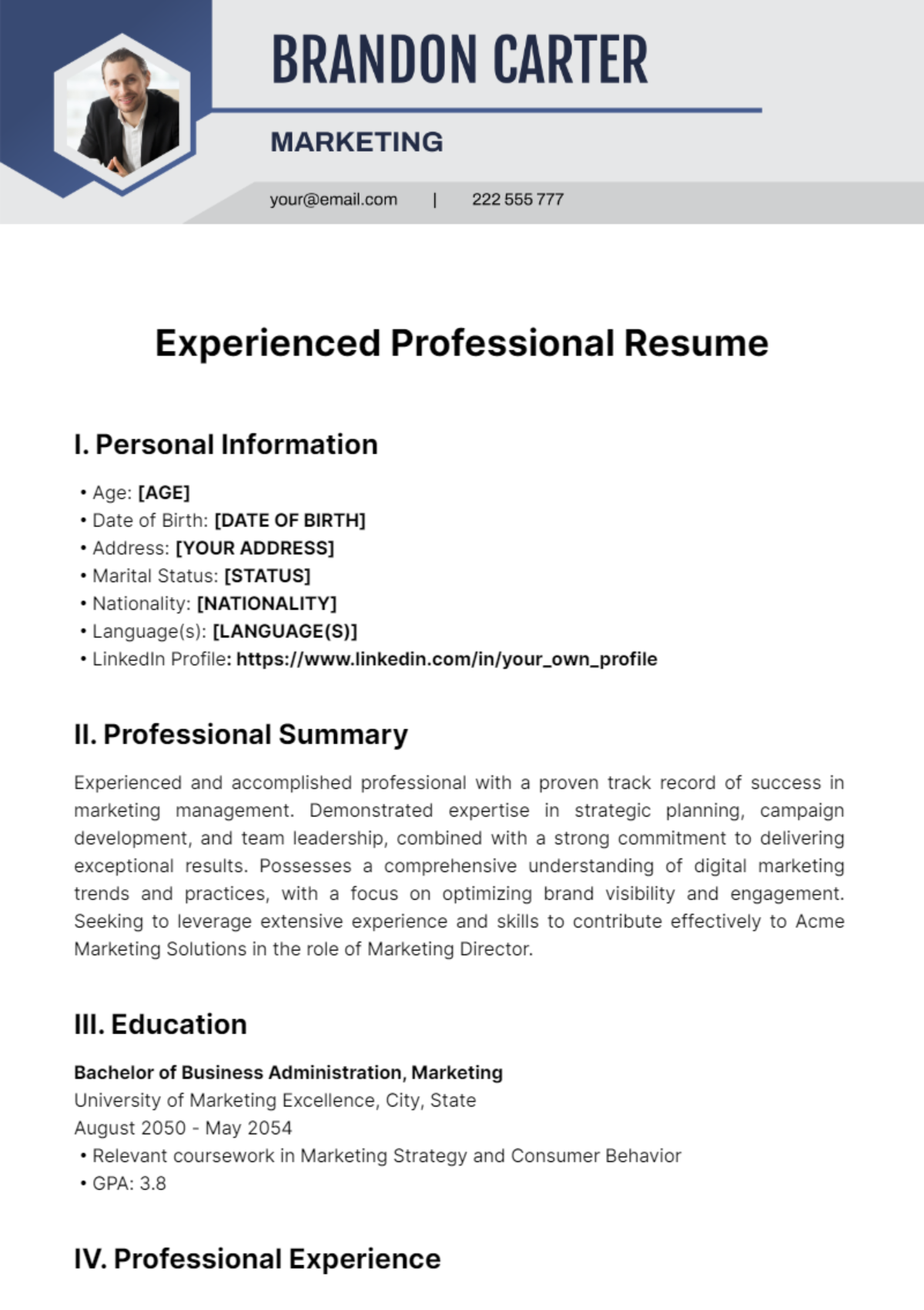 Free Experienced Professional Resume Template
