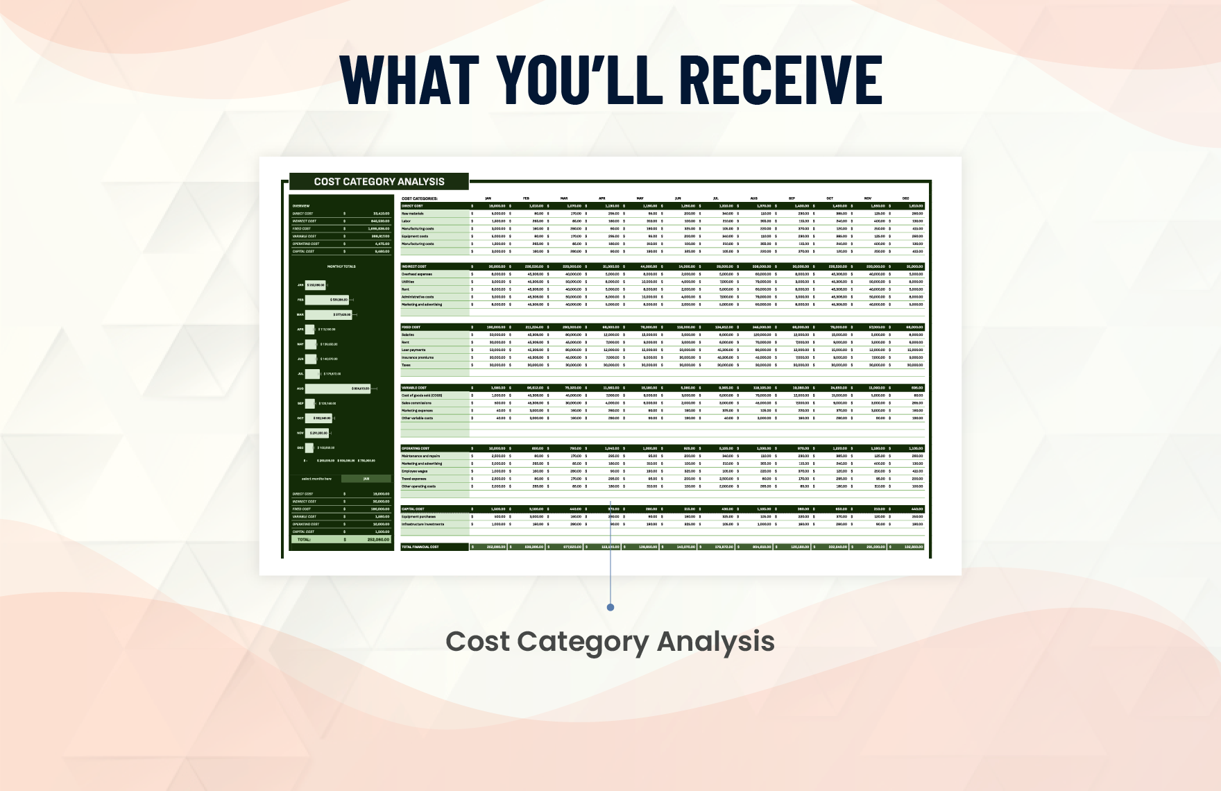 Financial Cost Category Analysis Template