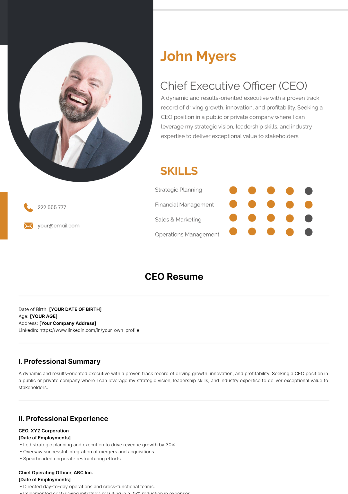 CEO Resume Template