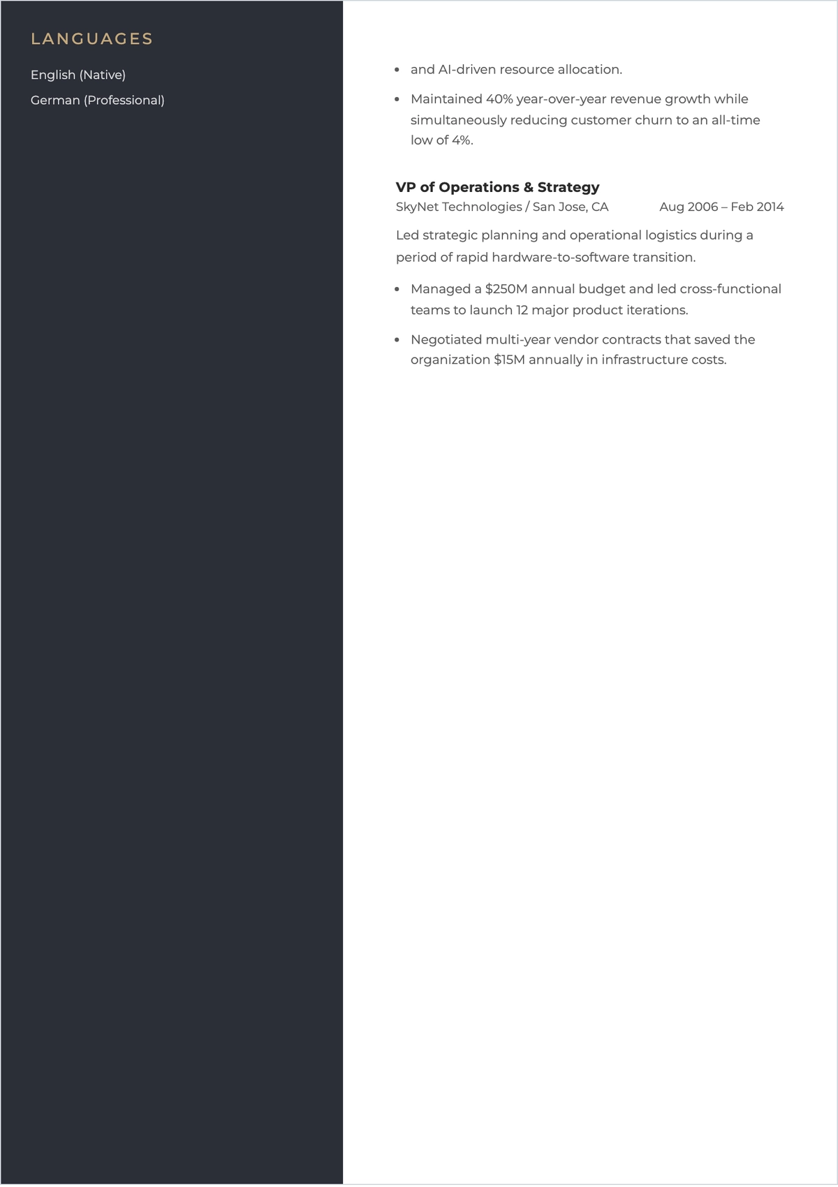 Free CEO ATS Resume Template, AI Resume Builder