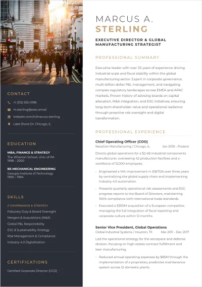 Free Board of Directors ATS Resume Template, AI Resume Builder