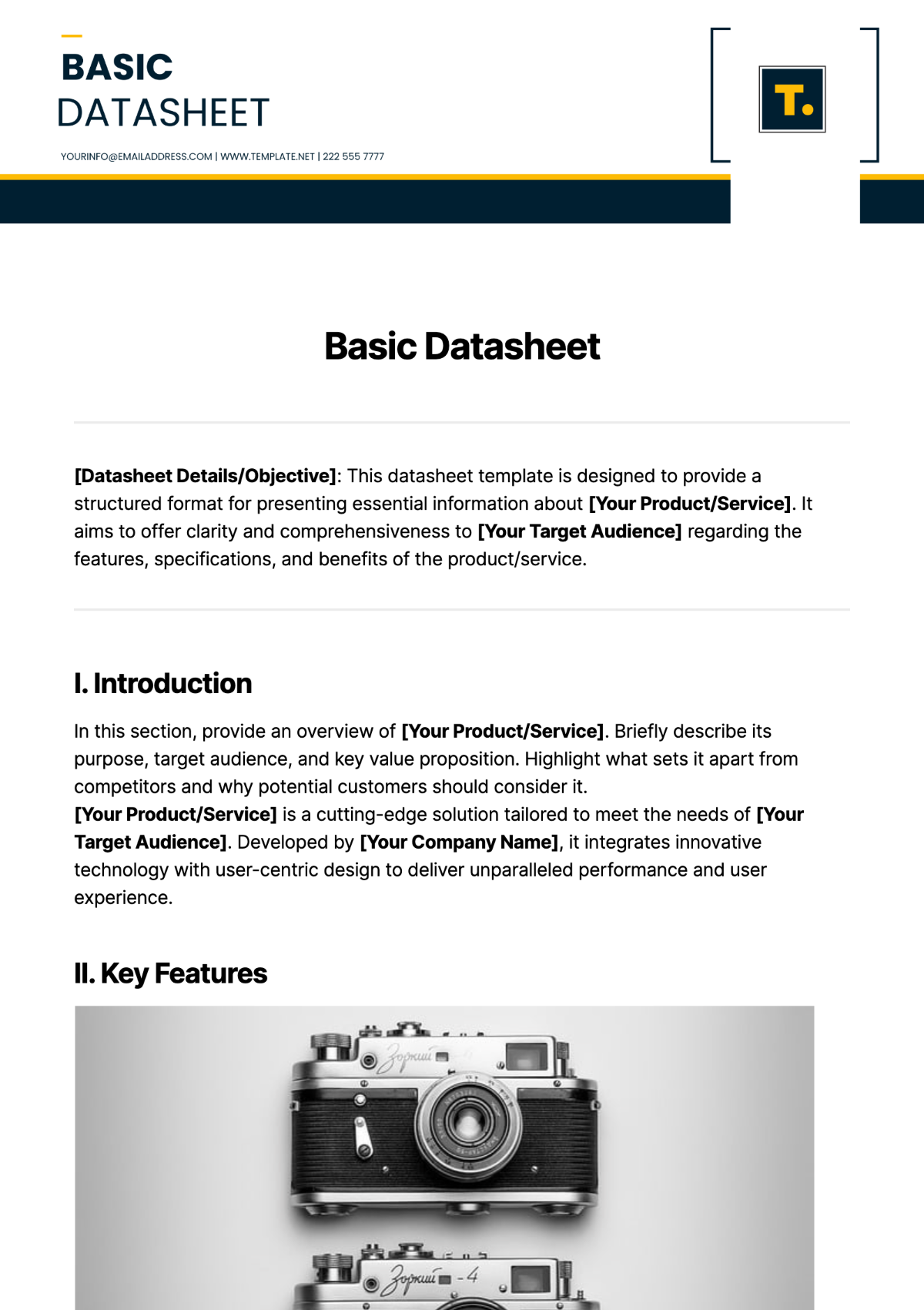 Basic Datasheet Template - Edit Online & Download