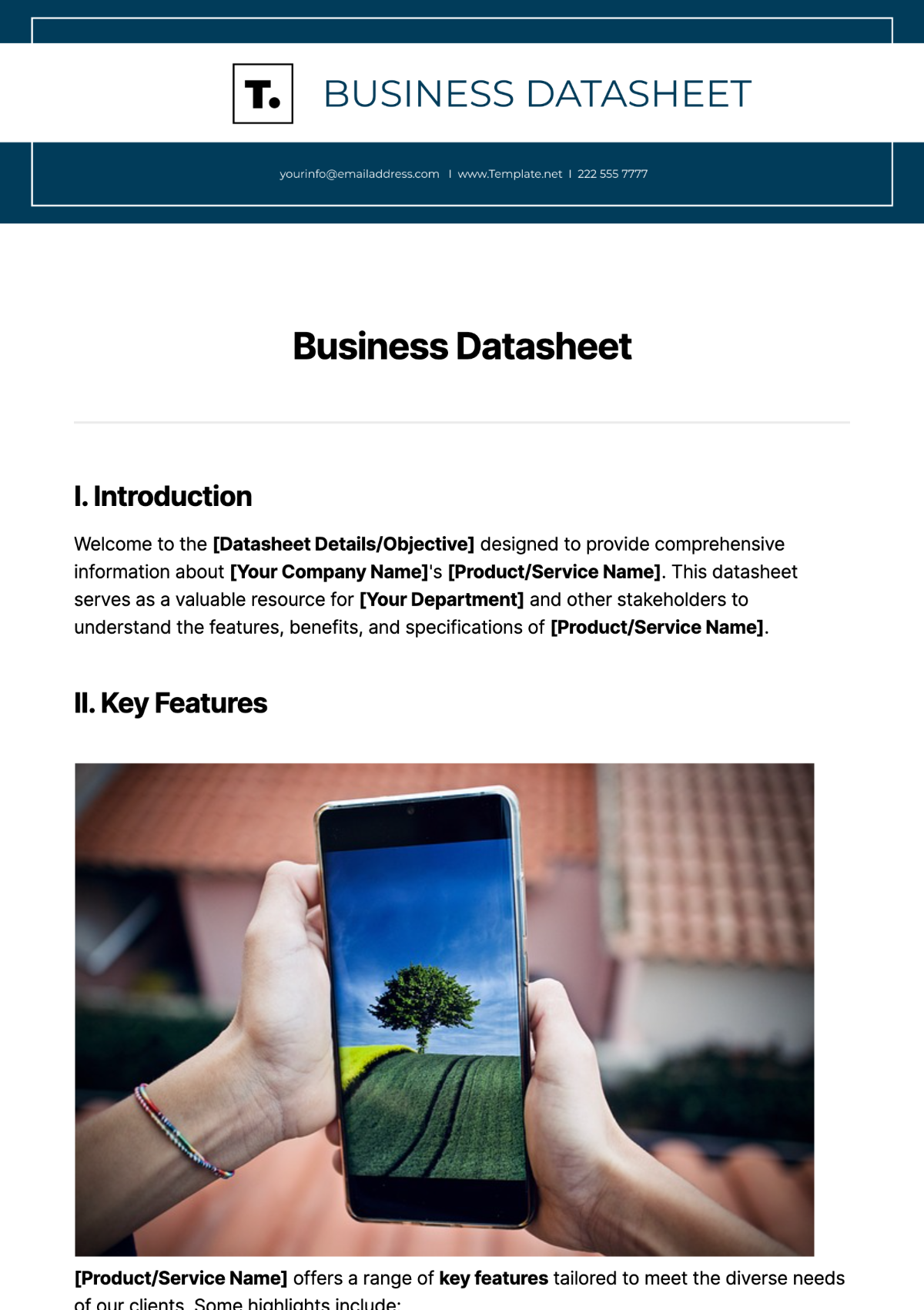 Business Datasheet Template - Edit Online & Download